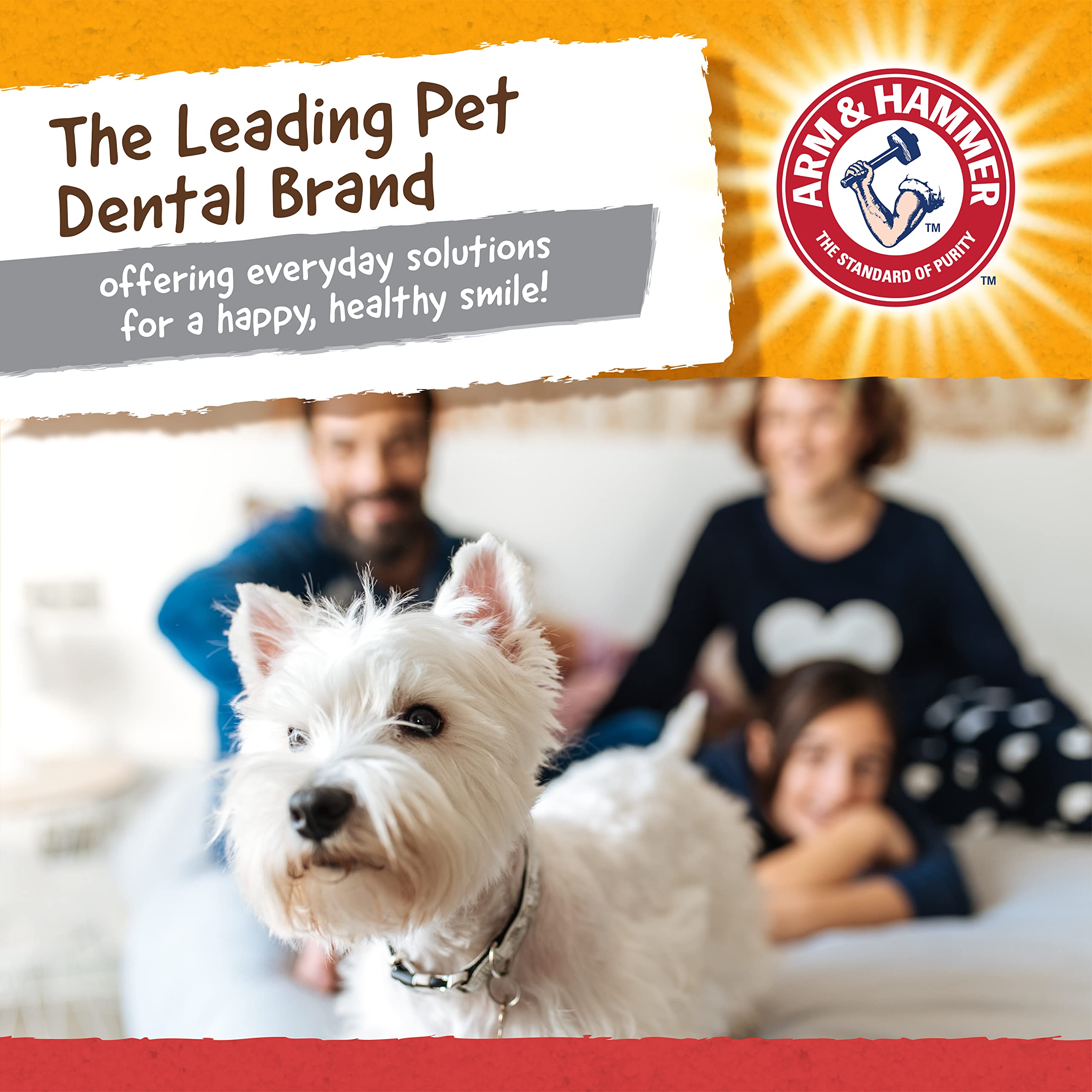 Arm & Hammer for Pets Nubbies Wishbone Dog Dental Toy | Best Dog Chew Toy for Moderate Chewers | Helps Reduce Plaque & Tartar |