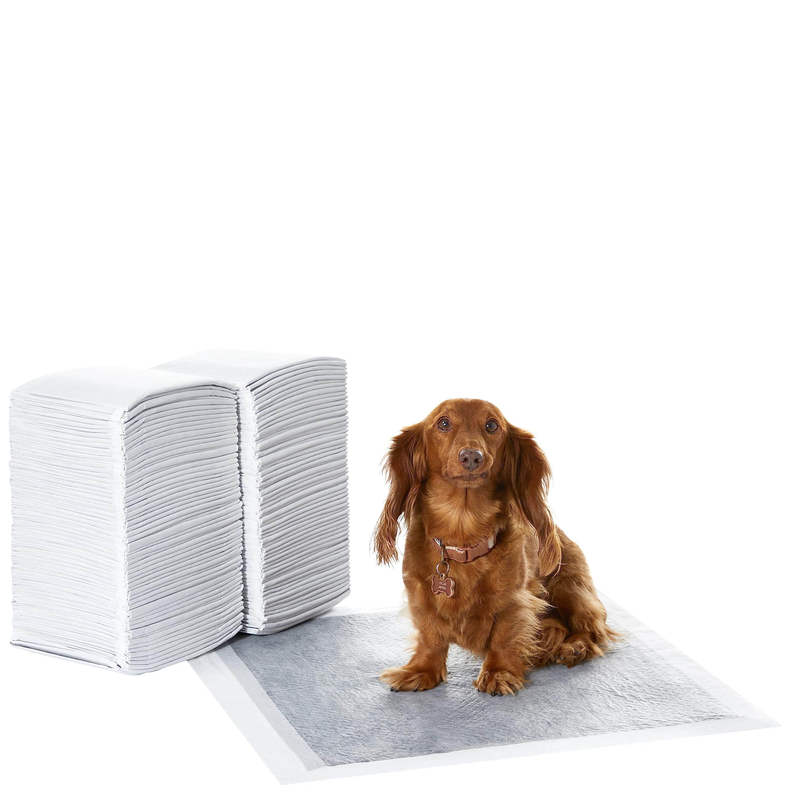 Amazon Basics Leak-Proof Puppy Training Pads, Odor Control, Quick-Dry Surface, Regular, 120-Pack, Gray