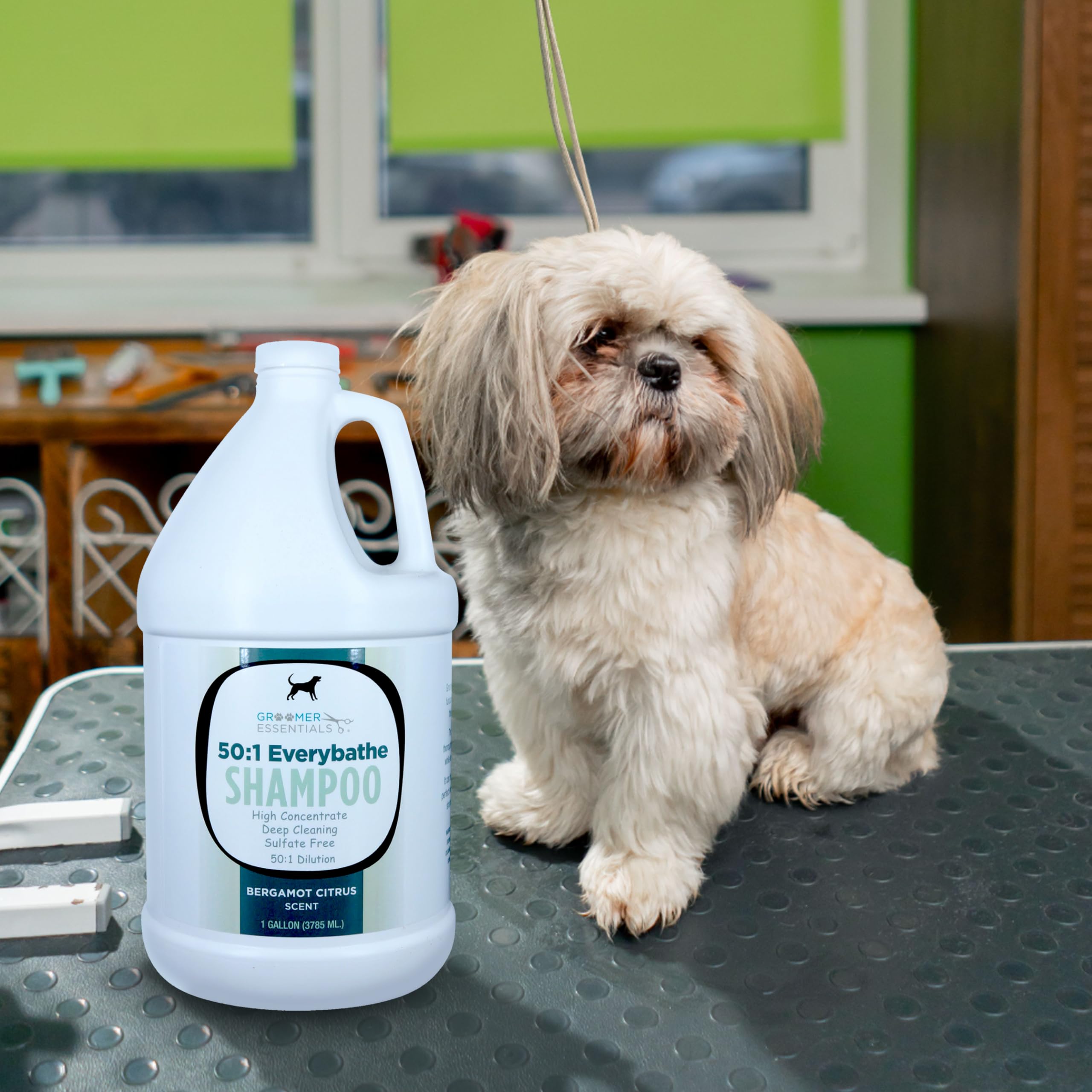 Groomer Essentials 50:1 Everybathe Shampoo - 1 Gallon - Can Be Diluted Up To 50:1 - Can Be Used On Dogs Or Cats 12 Weeks Or Olde