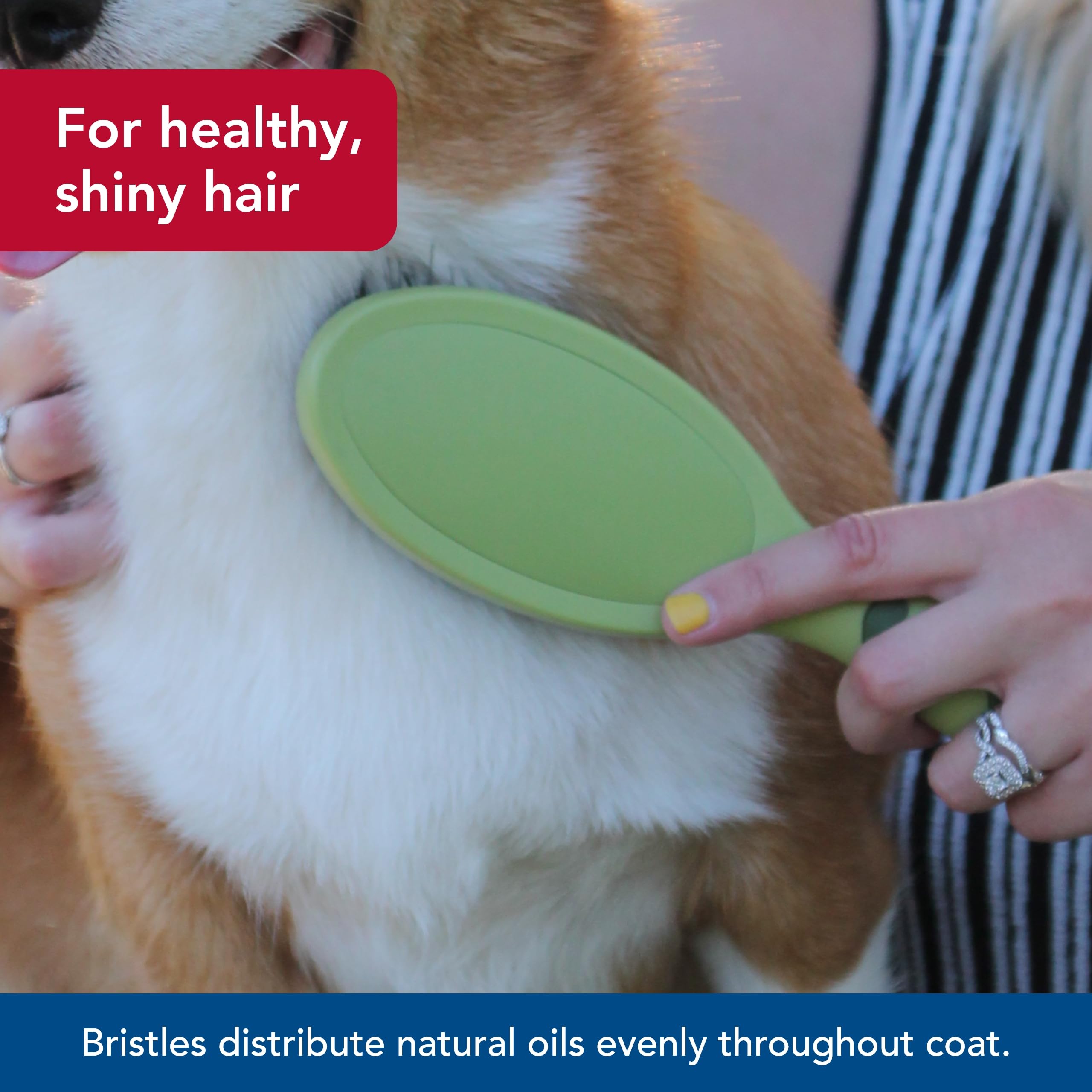 Coastal Pet - Safari - Bristle Dog Brush, Brush, Large (9' L X 2.625' W)