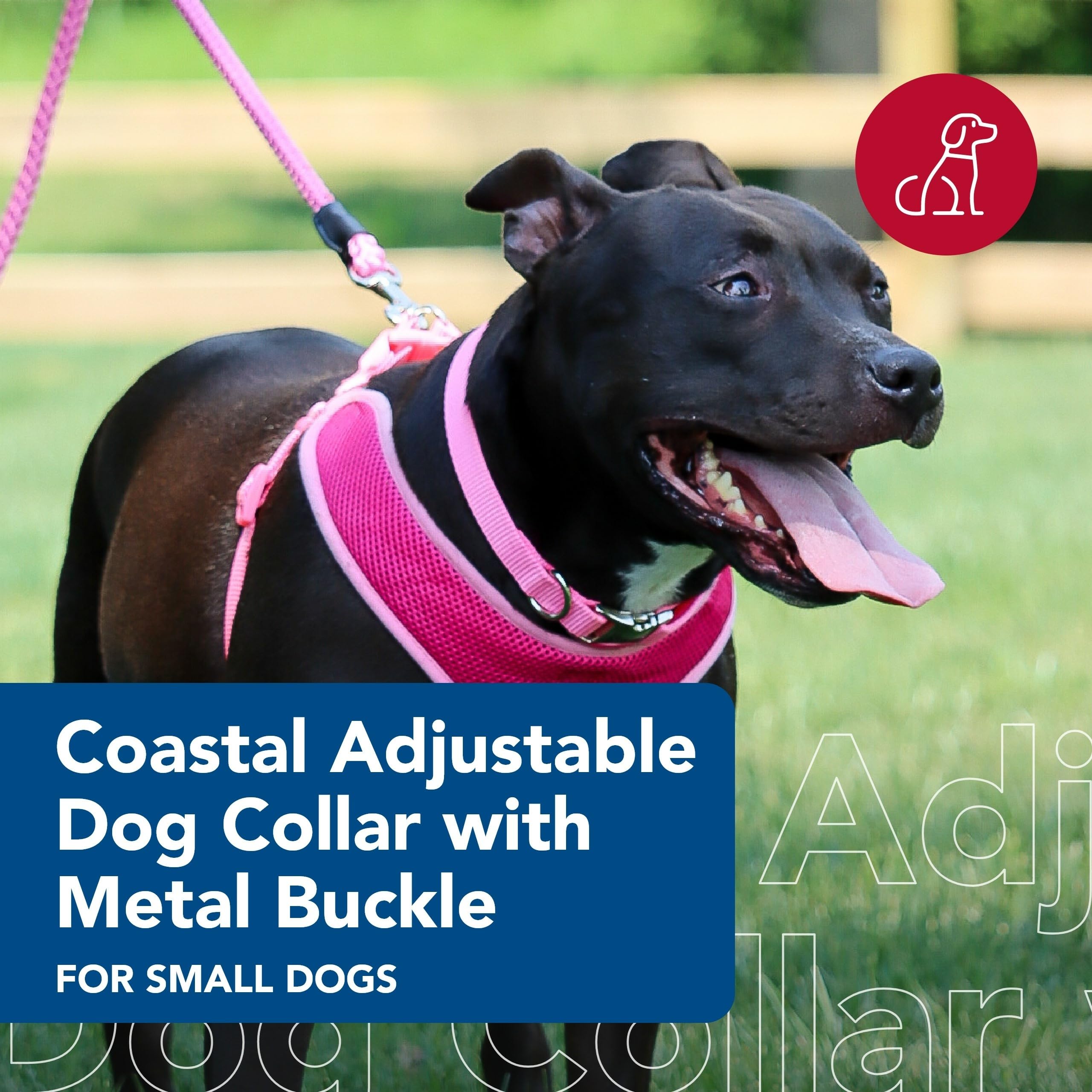 Coastal Pet Adjustable Dog Collar with Metal Buckle - Comfortable Fade-Resistant Dog Collar with Snap Lock - Perfect for Walking