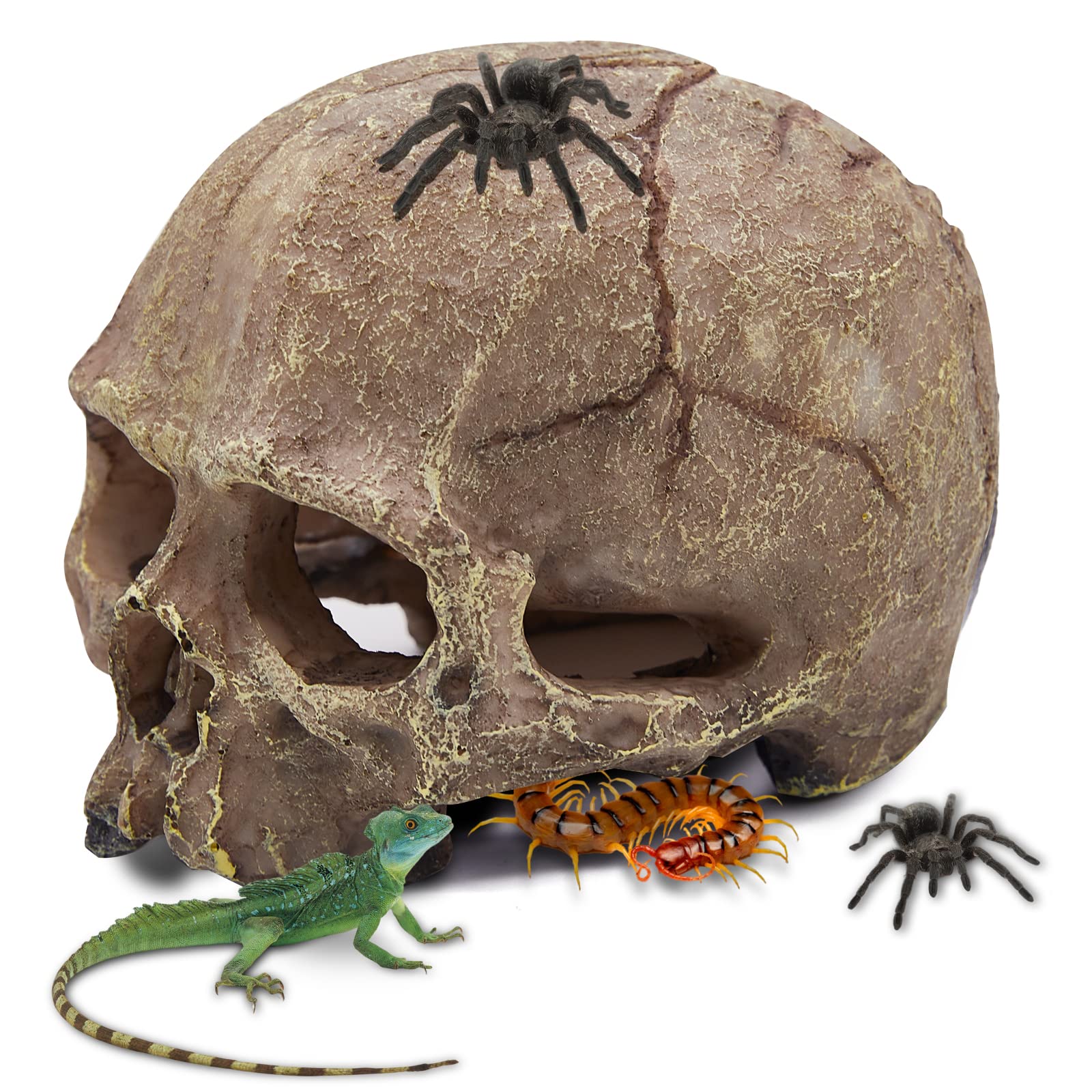 Aufeeky Halloween Human Skull Reptile Hide, Grey Reptile Hides And Caves For Ball Python Leopard Gecko Snake Bearded Dragon Liza