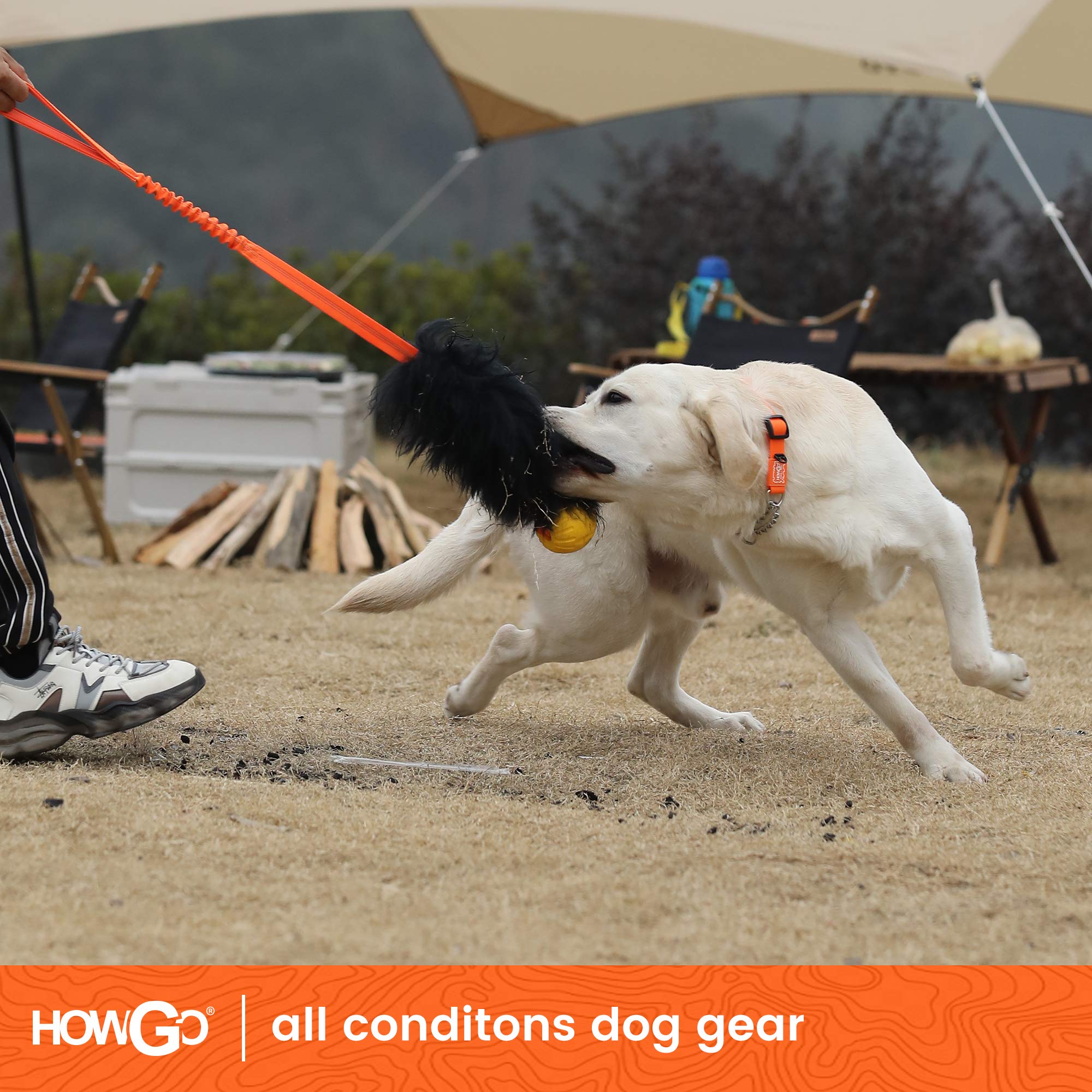 Howgo Dog Rope Toy,Dog Bungee Chaser Toy 100% Sheepskin,Sheep Smell Tug Toy For All Breeds (Orange, With Rubber Ball)