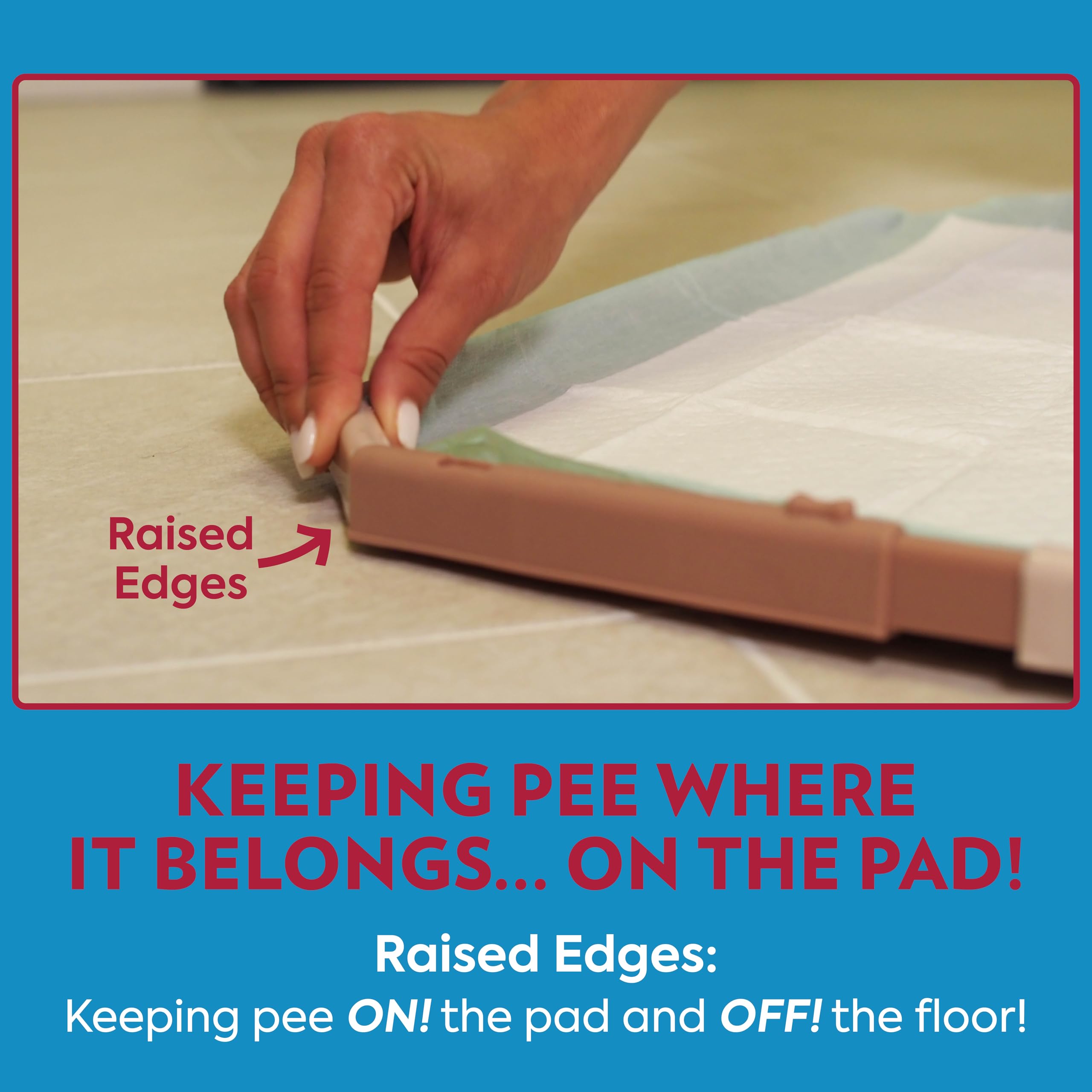 Out! Training Pad Holder For Pets, Fits Pads 21 By 21-Inch