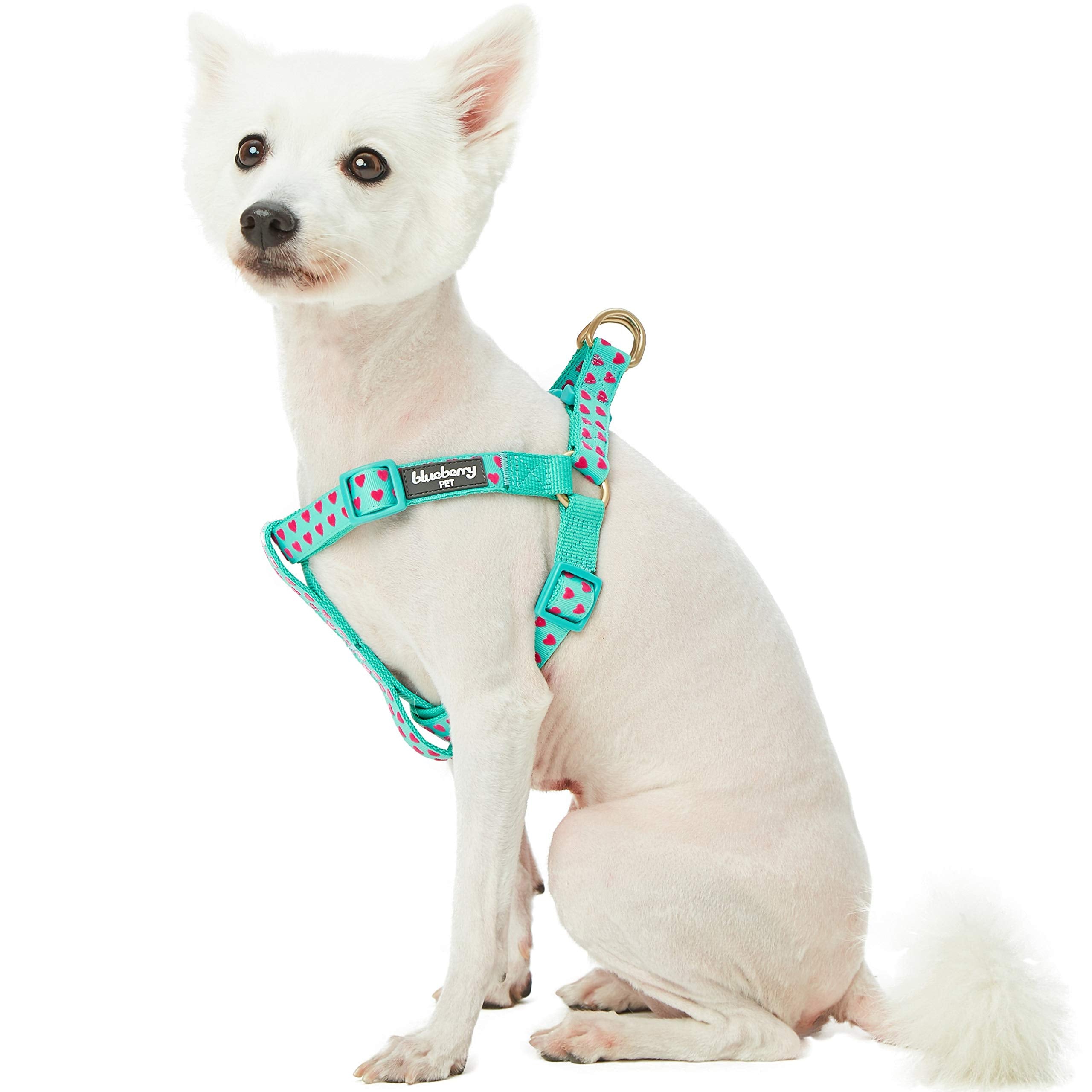 Blueberry Pet Step-in Dog Harness Velvety Heart Flocking Valentines Day Adjustable Harnesses for Medium Dogs, Mint Green, Chest 
