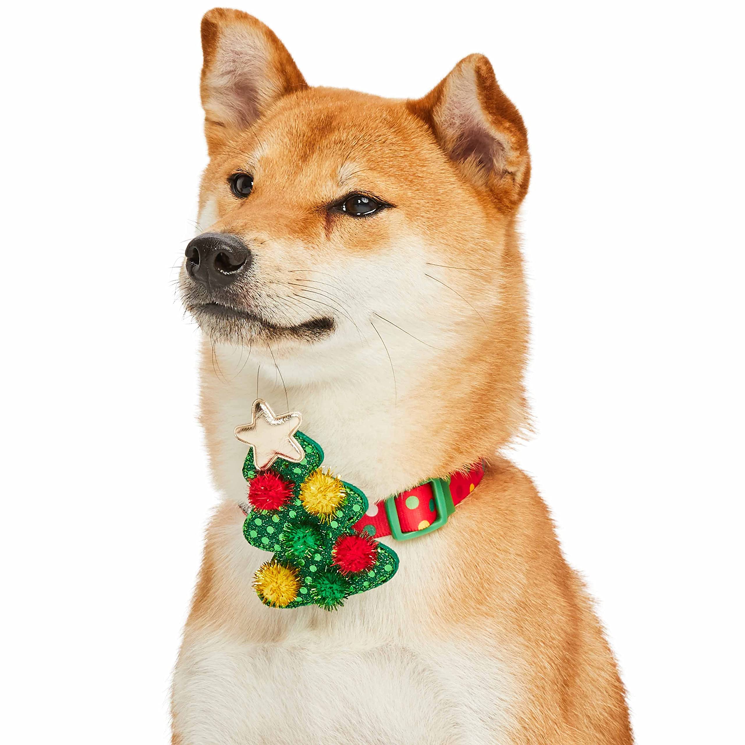 Blueberry Pet Christmas Polka Dots Adjustable Dog Collar, Medium, 14.5-20 Neck, Holiday Dog Collars For Medium Dogs, Christm