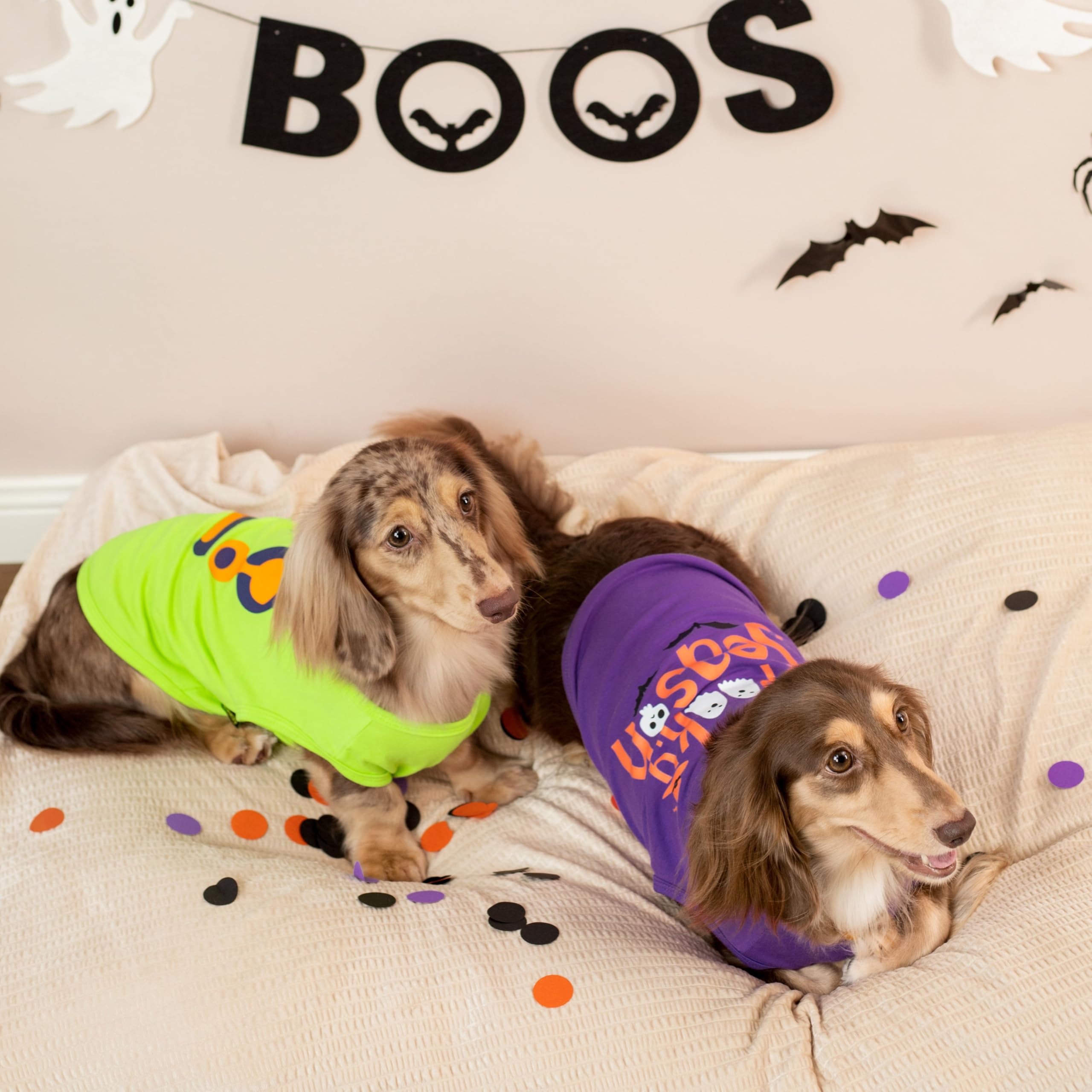 Fitwarm Halloween Spooky Season Dog Shirt, Funny Dog Clothes For Small Dogs Boy Girl, Holiday Doggy Tank Top, Pet Outfit, Purple