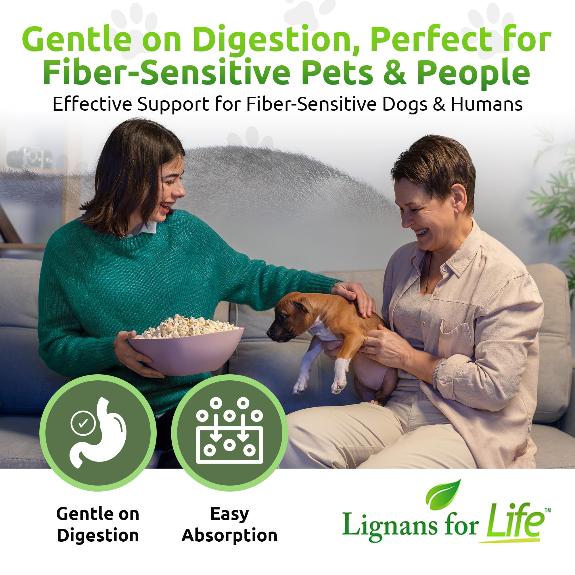 Lignans For Life HMR Lignans for Dogs I Vitamin for Healthy Pet | Wellness Supplement | Nutritional - 90 Capsules I 40mg