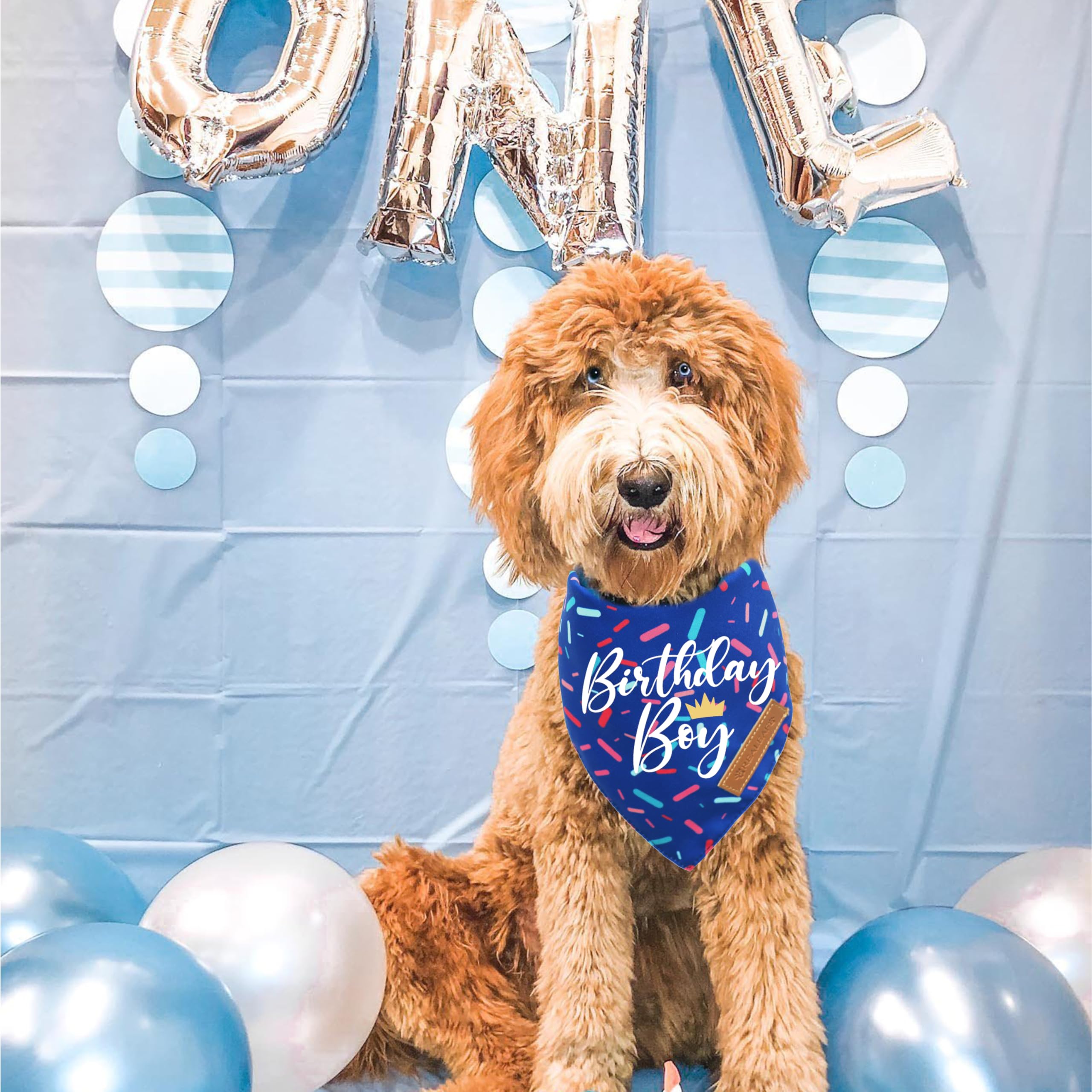 Realeaf Birthday Boy Dog Bandana, Dog Birthday Party Supplies,Premium Durable Fabric, Bandana For Large And Xlarge Dogs (Blue, X