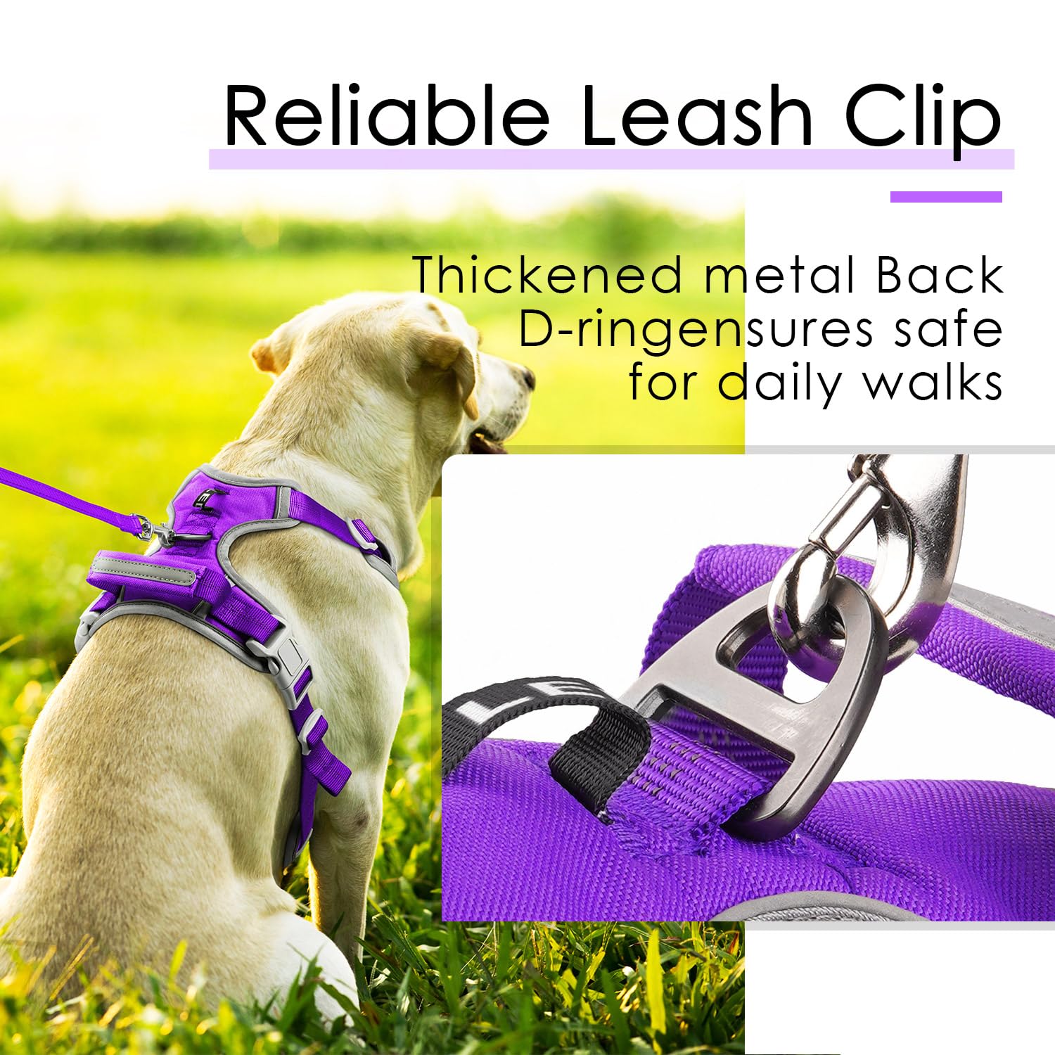 Thinkpet No Pull Harness Breathable Sport Harness With Handle-Dog Harnesses Reflective Adjustable For Medium Large Dogs,Back/Front Clip For Easy Control M Neon Purple