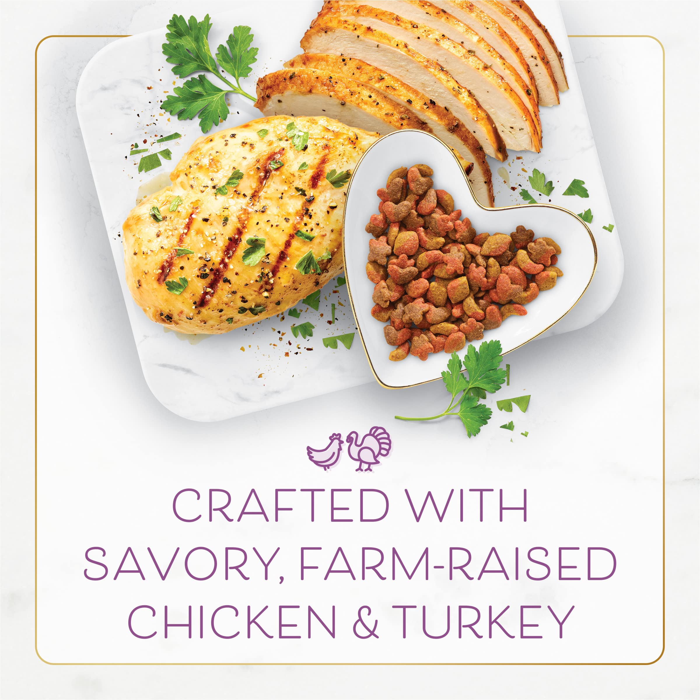 Fancy Feast Dry Cat Food with Chicken & Turkey - 12 lb Bag - Savory Flavor