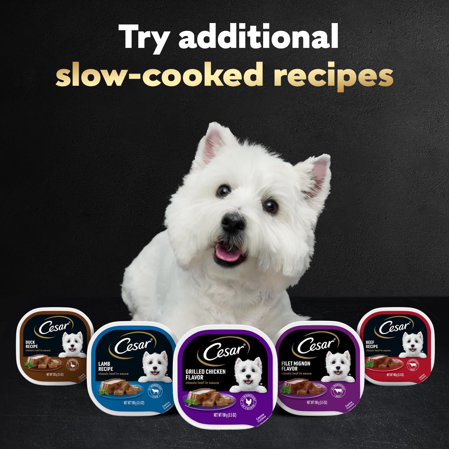 Cesar Wet Dog Food Classic Loaf in Sauce Breakfast and Dinner Mealtime Variety Pack, 3.5 oz. Easy Peel Trays (12 Count, Pack of