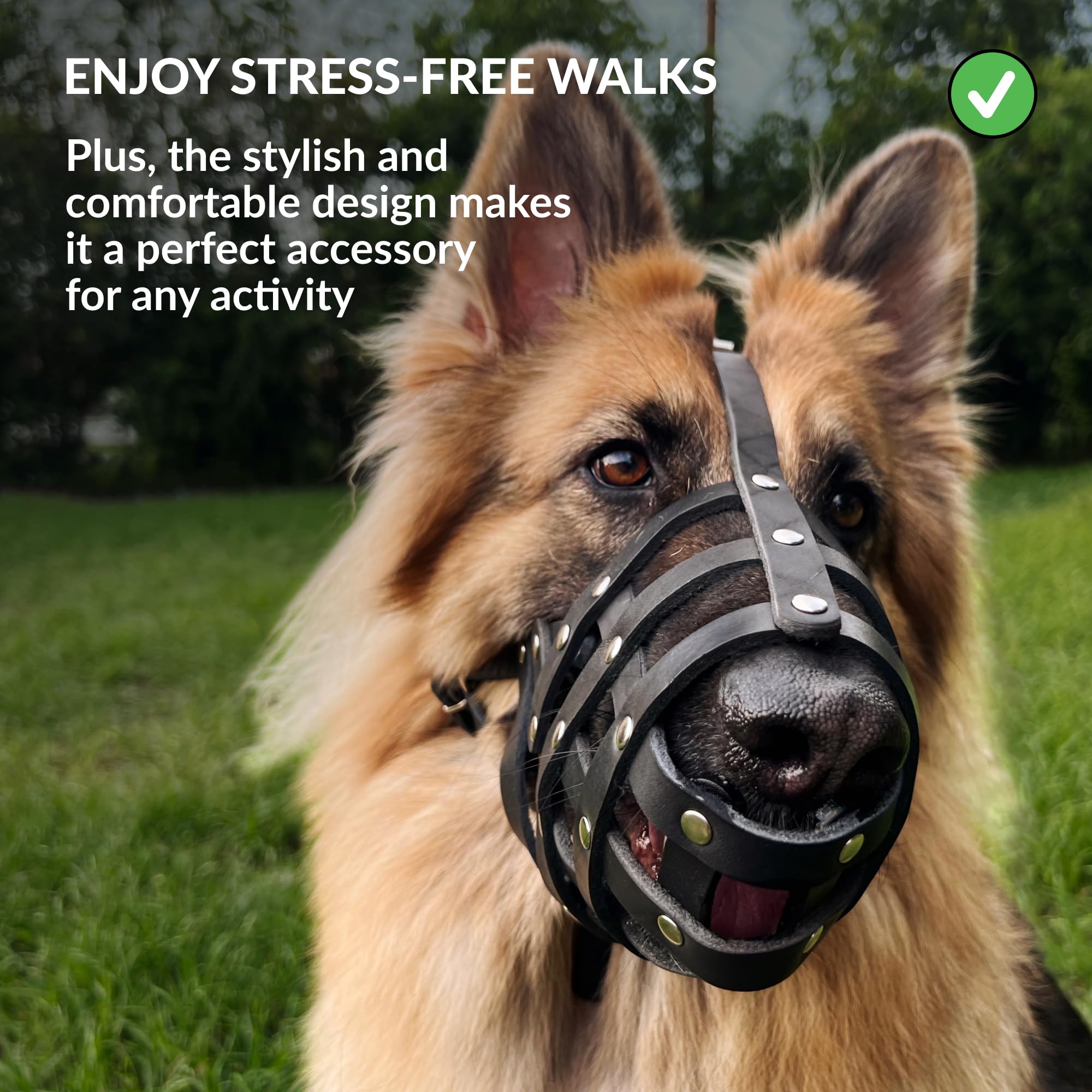 Collardirect Dog Muzzle German Shepherd Dalmatian Doberman Setter Leather Basket Medium Large Breeds Black Brown (M, Chestnut Brown)