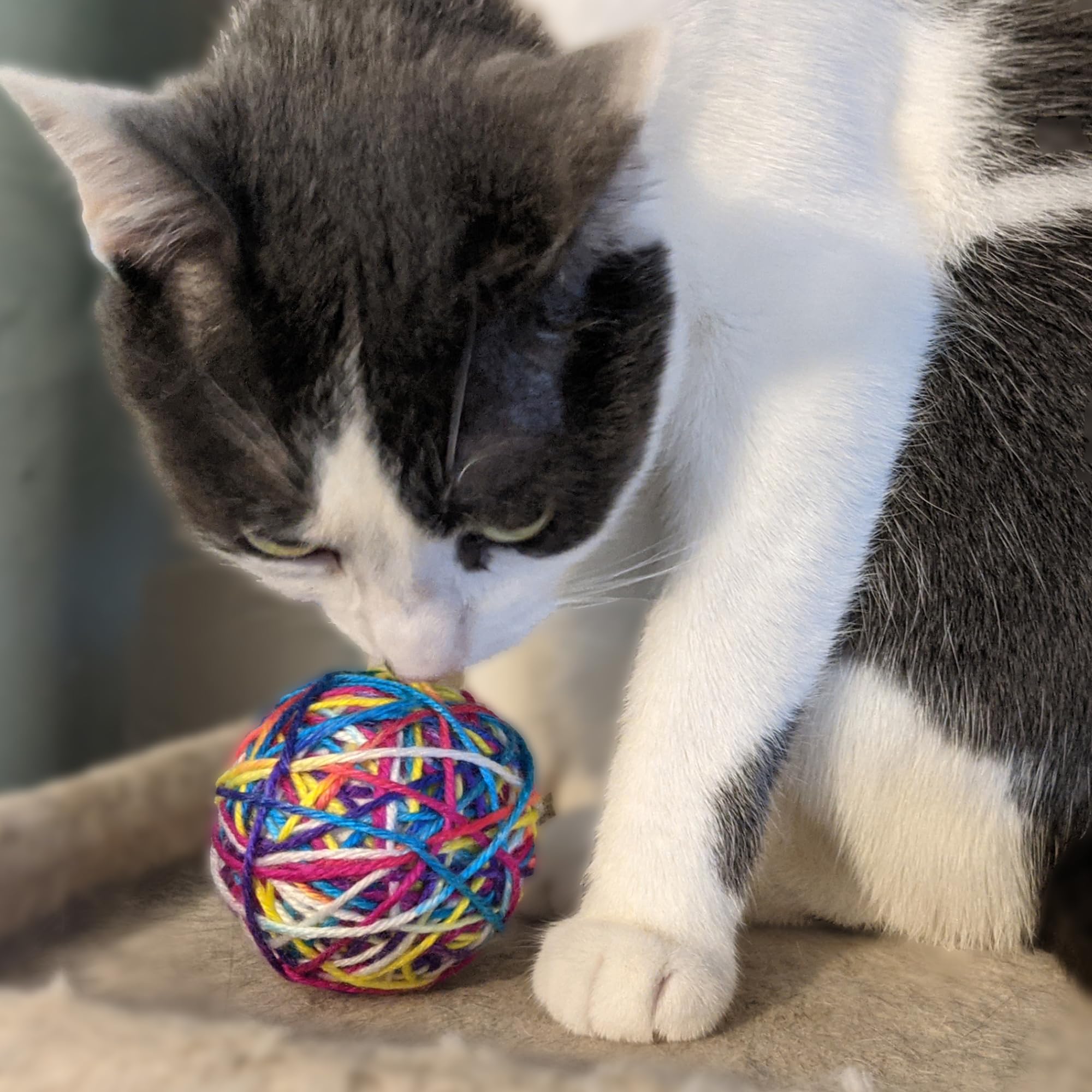 Spot Ethical Products Sew Much Fun/Yarn Ball Cat Toy / 2.5' / 2Pack, Multicolor