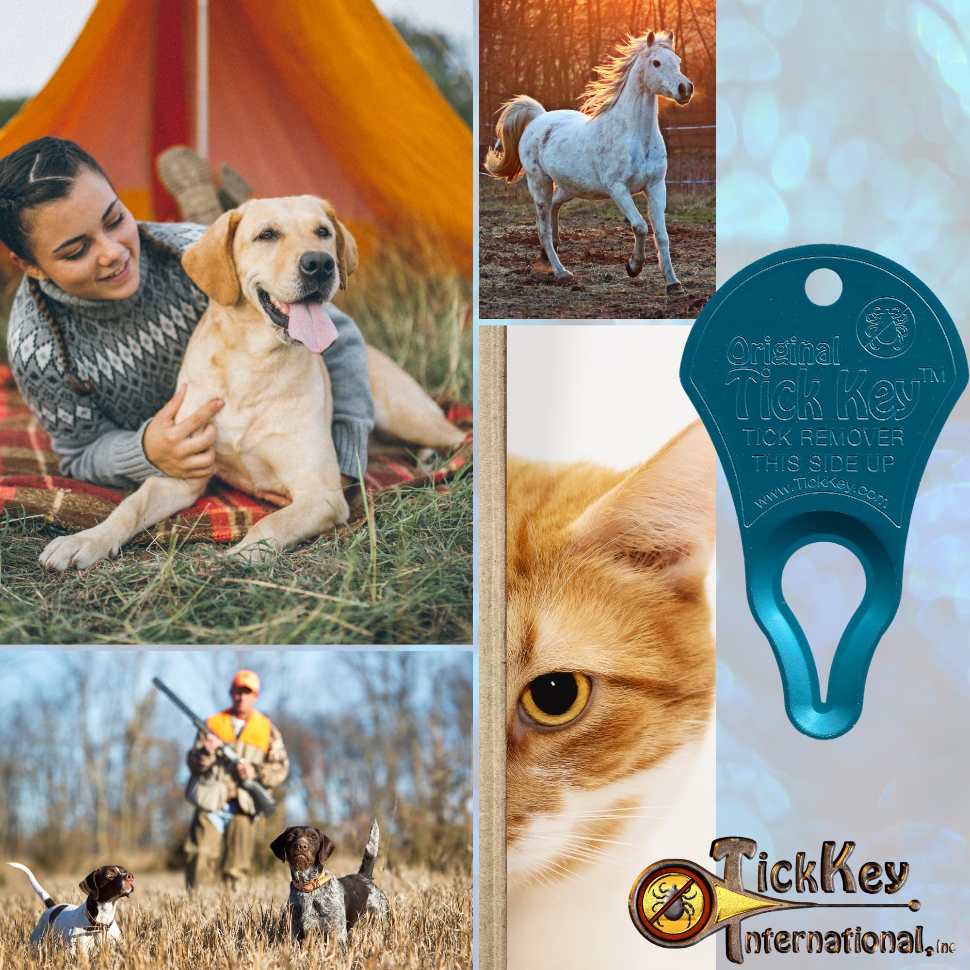 The Original Tick Key - Tick Detaching Device - Portable, Safe And Highly Effective Tick Detaching Tool (Blue)