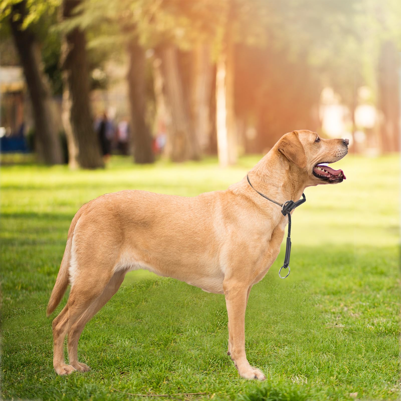 Prong Collar For Dogs No-Pull Dog Collar 26'' 4.2Mm 1000Lb Thin Paracord Reflective Slip Collars With Adjustable Stopper & Sturd