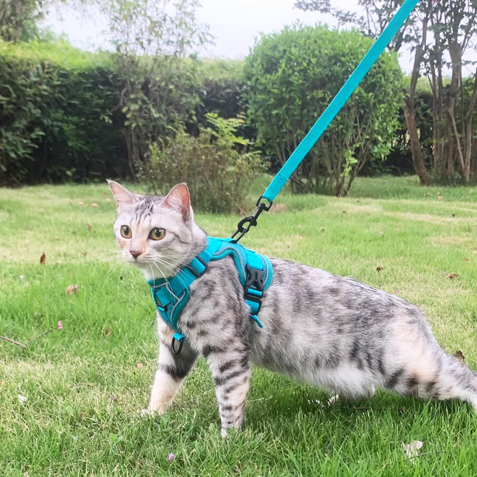 pangdi Cat Harness and Leash Set, Escape Proof, Large, Turquoise, Nylon