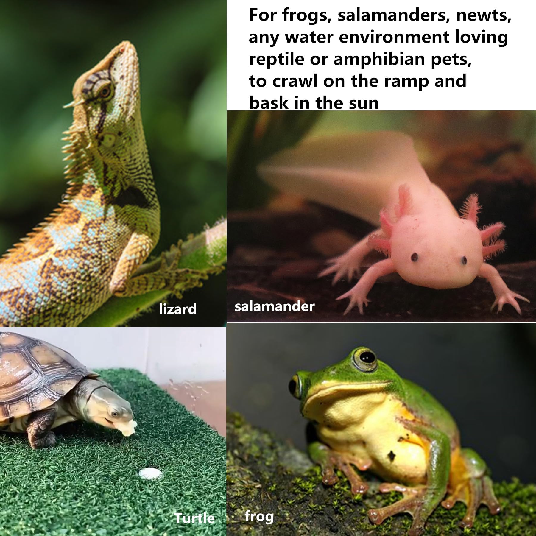 Lawn Turtle Basking Platform, Turtle Resting Basking Platform, Tortoise Ramp Climbing Reptile Ladder Resting Terrace Aquarium Floating Décor For Frog Terrapin Amphibian Habitat Hideouts (Medium)