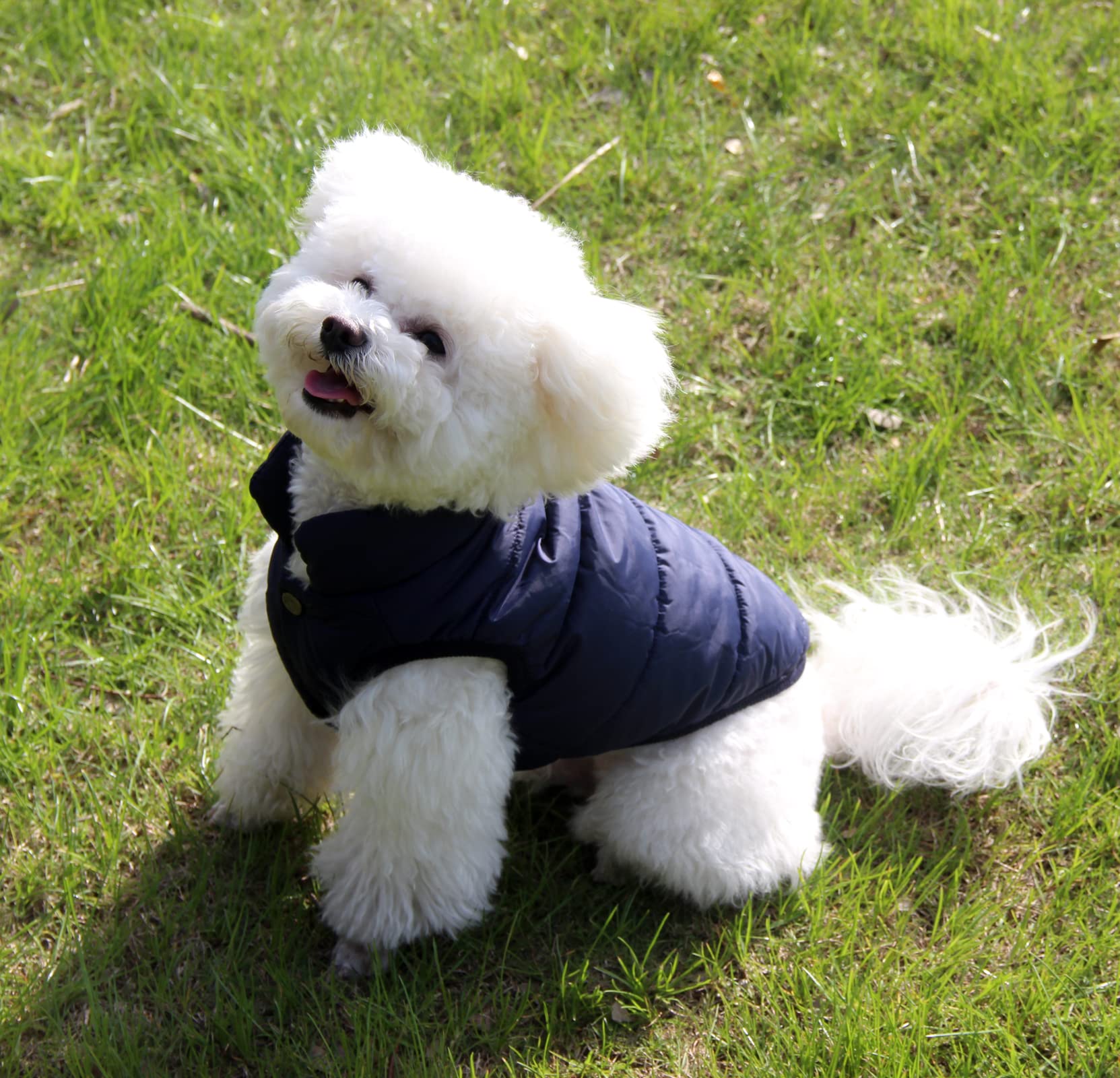 JoyDaog Warm Dog Jacket, Fleece Lined, Windproof, Small Size, Blue, Perfect for Winter Cold Weather
