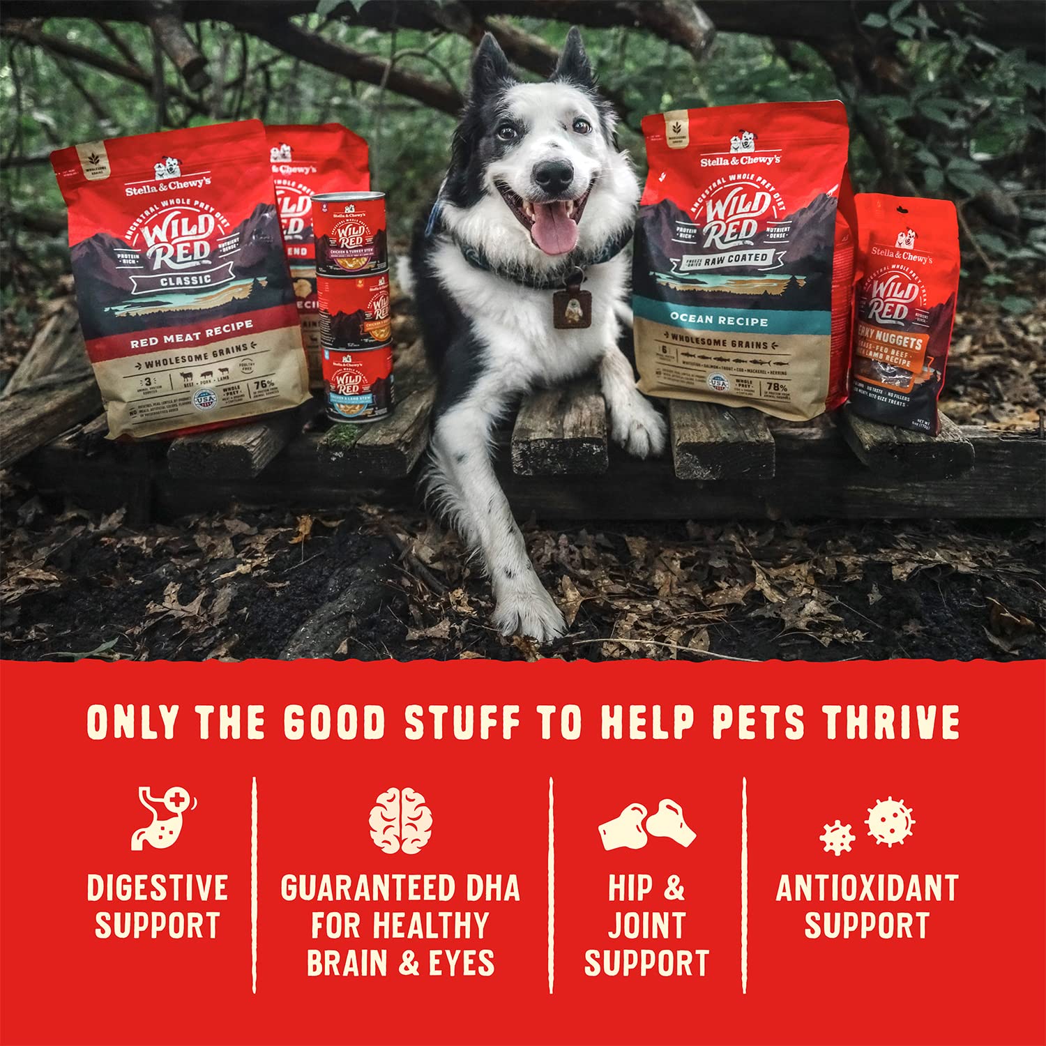 Stella & Chewys Wild Red Dry Dog Food Raw Coated High Protein Grain & Legume Free Prairie Recipe, 21 lb. Bag