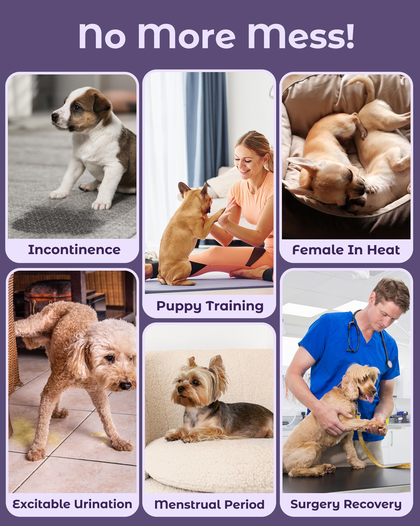 Pet Soft Dog Diapers Female Onesie Sanitary Pantie With Adjustable Suspender, Colorful Pattern Washable Puppy Diapers Female, Su