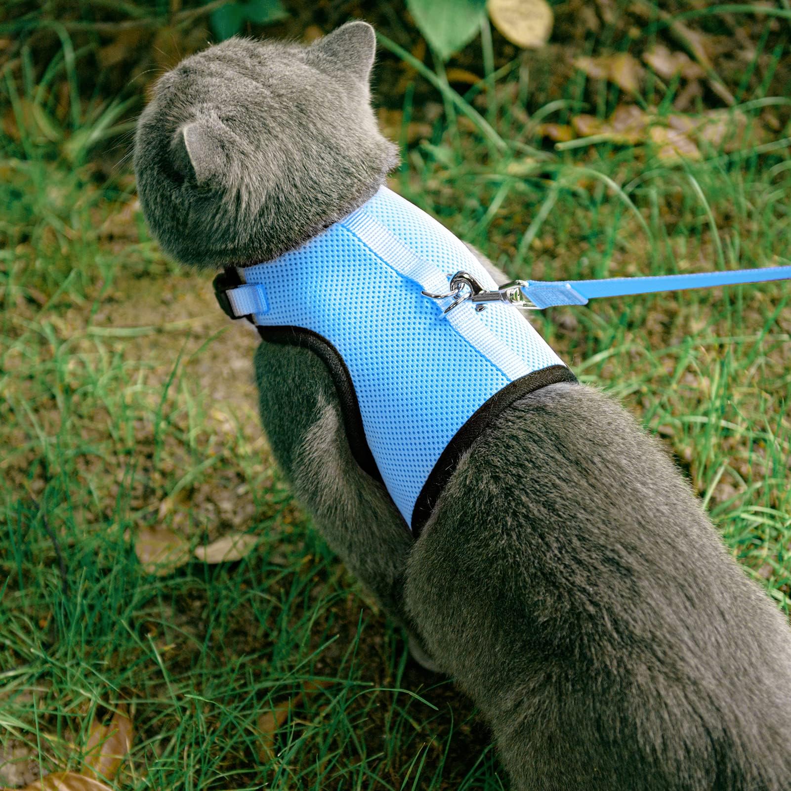 Pupteck Soft Mesh Cat Vest Harness And Leash Set Puppy Padded Pet Harnesses Escape Proof For Cats Small Dogs, Blue Large