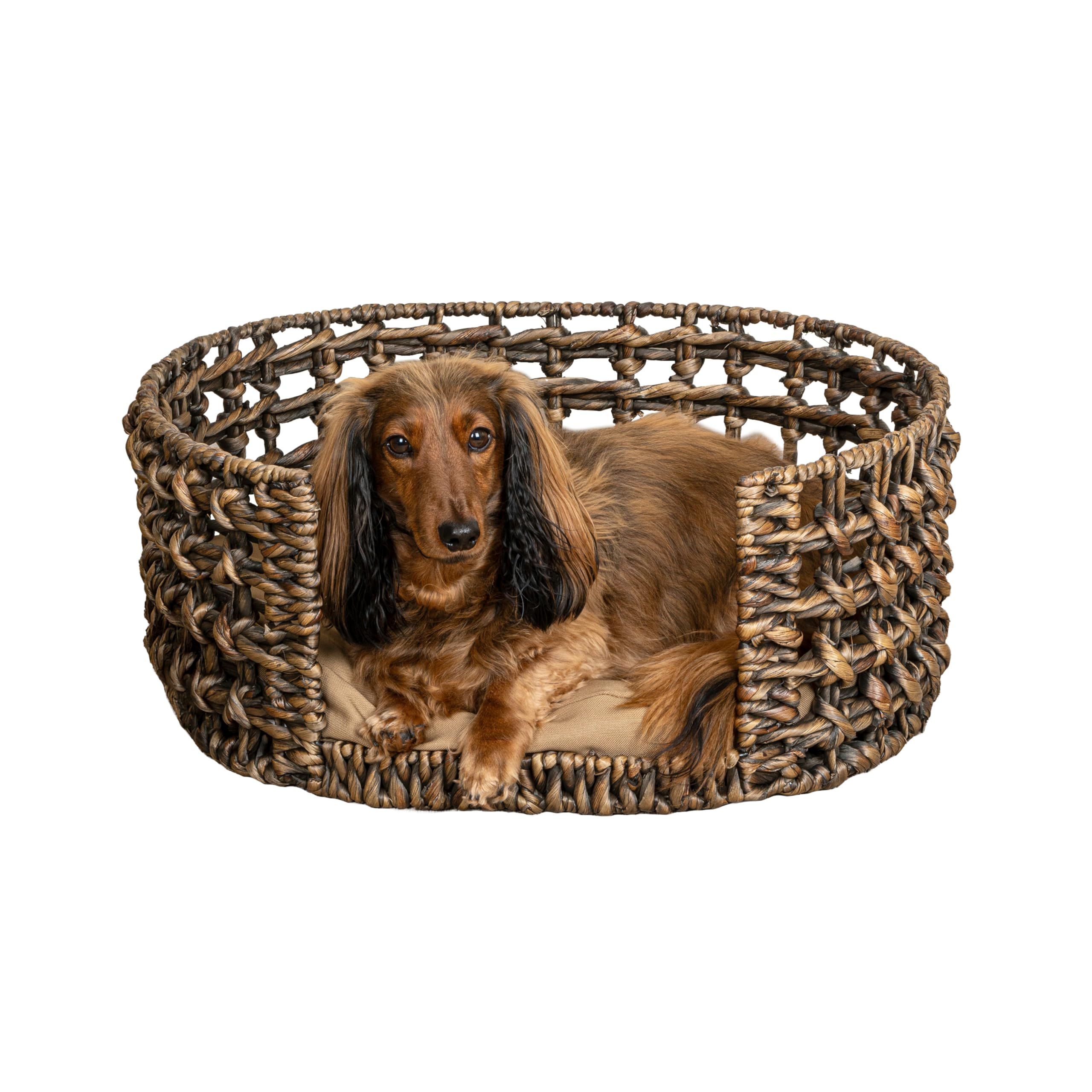 The LICKER Store DBD4000B Gigi 24 x 18 Modern Bohemian Handwoven Hyacinth Open-Weave Oval Pet Bed with Machine-Washable Cushion,