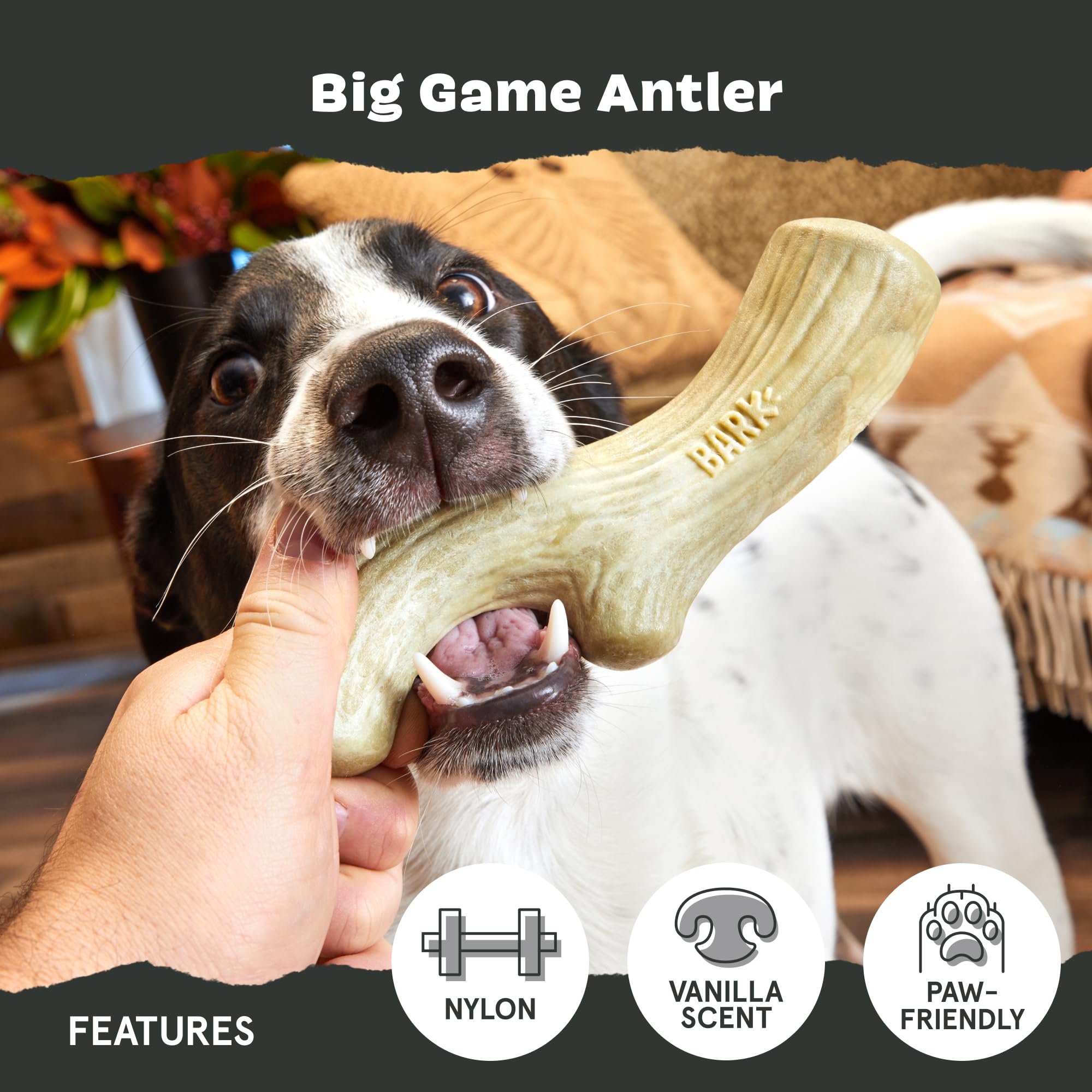 Barkbox Super Chewer Tough Dog Chew Toys For Aggressive Chewers, Dental Stimulating (Antler - Large)