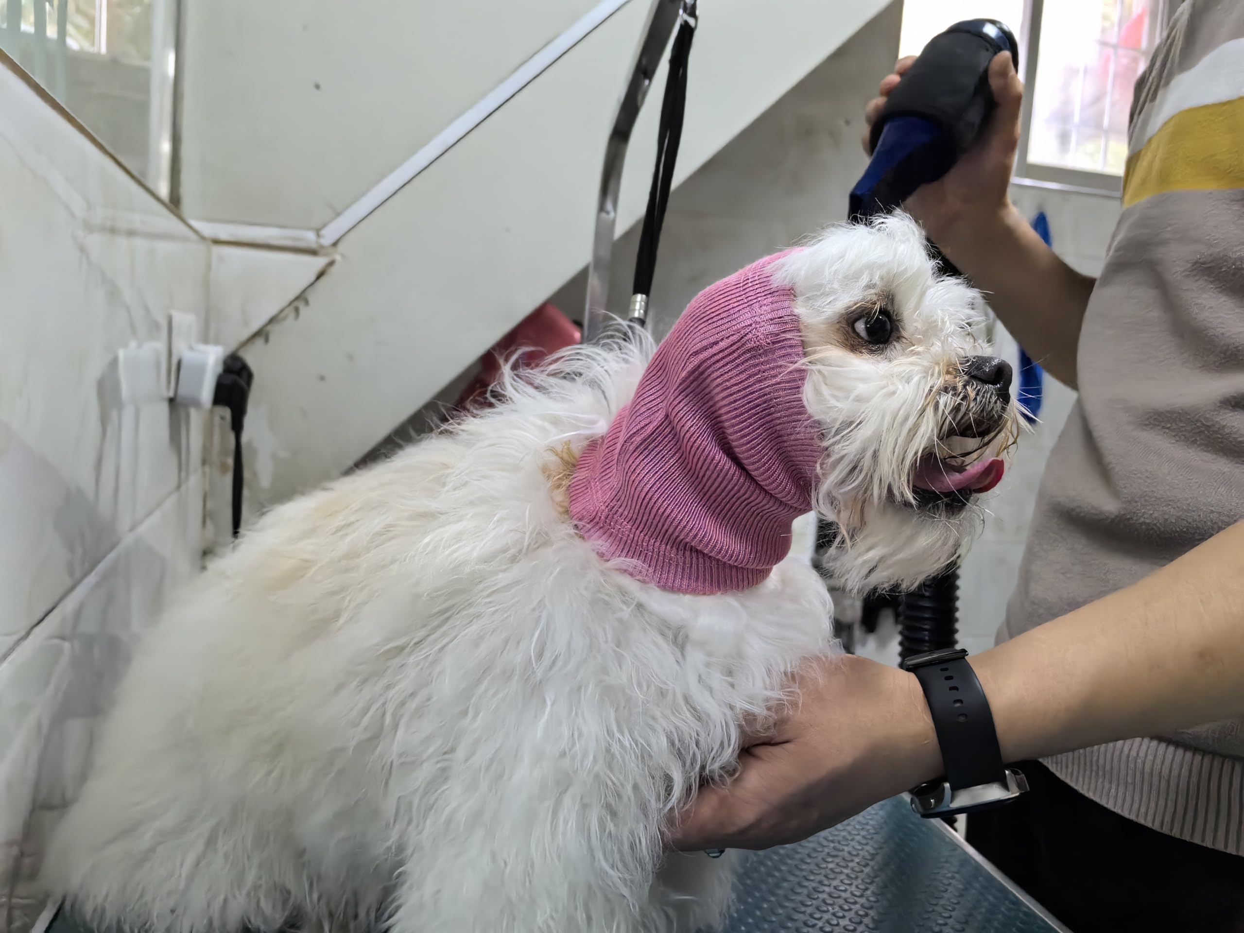 DDFS Dog Ear Cover Hematoma Snood Protection Dog Ear Covers for Noise Wine+Blue-L