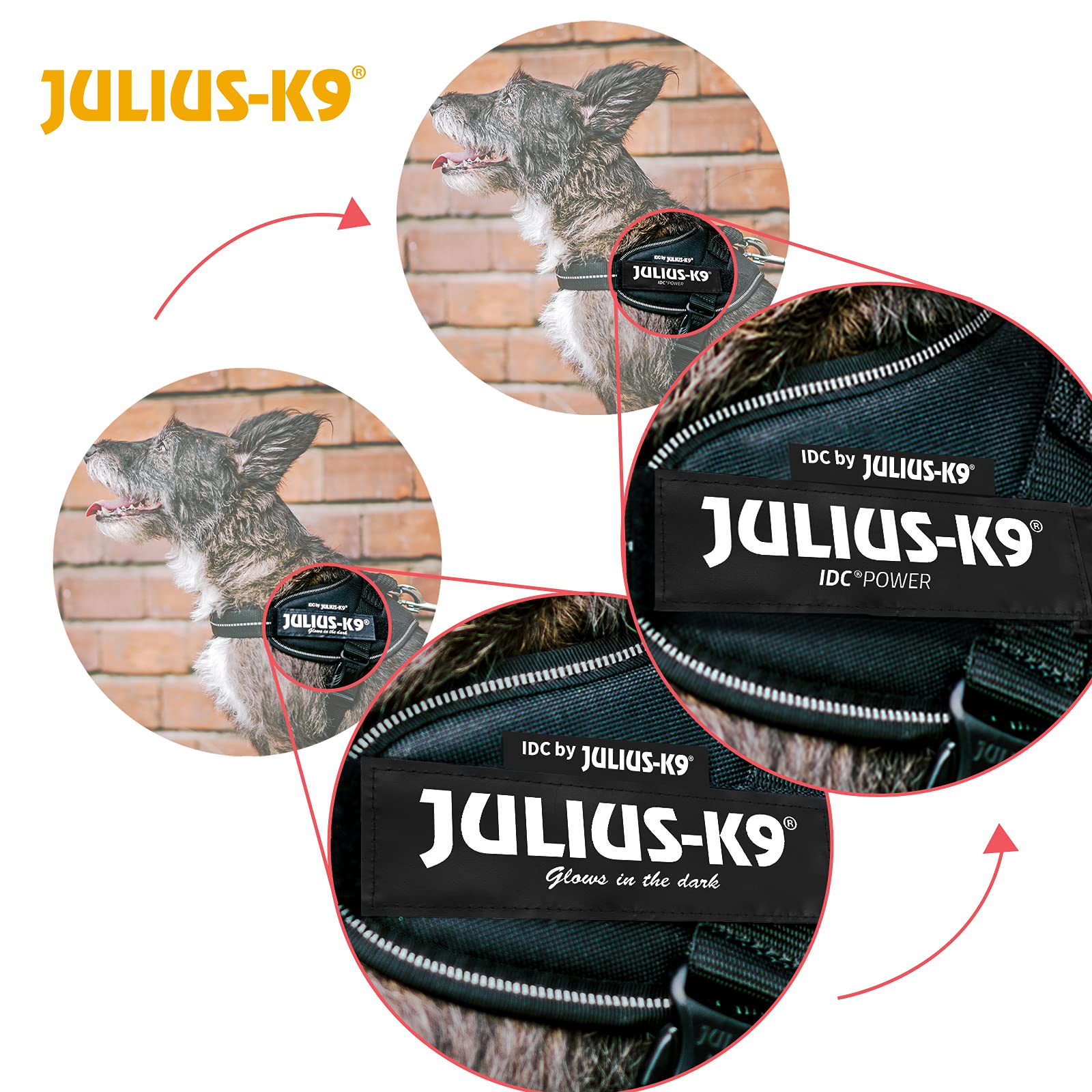 Julius-K9 Idc Powerharness, Size: S/Mini, Dark Purple
