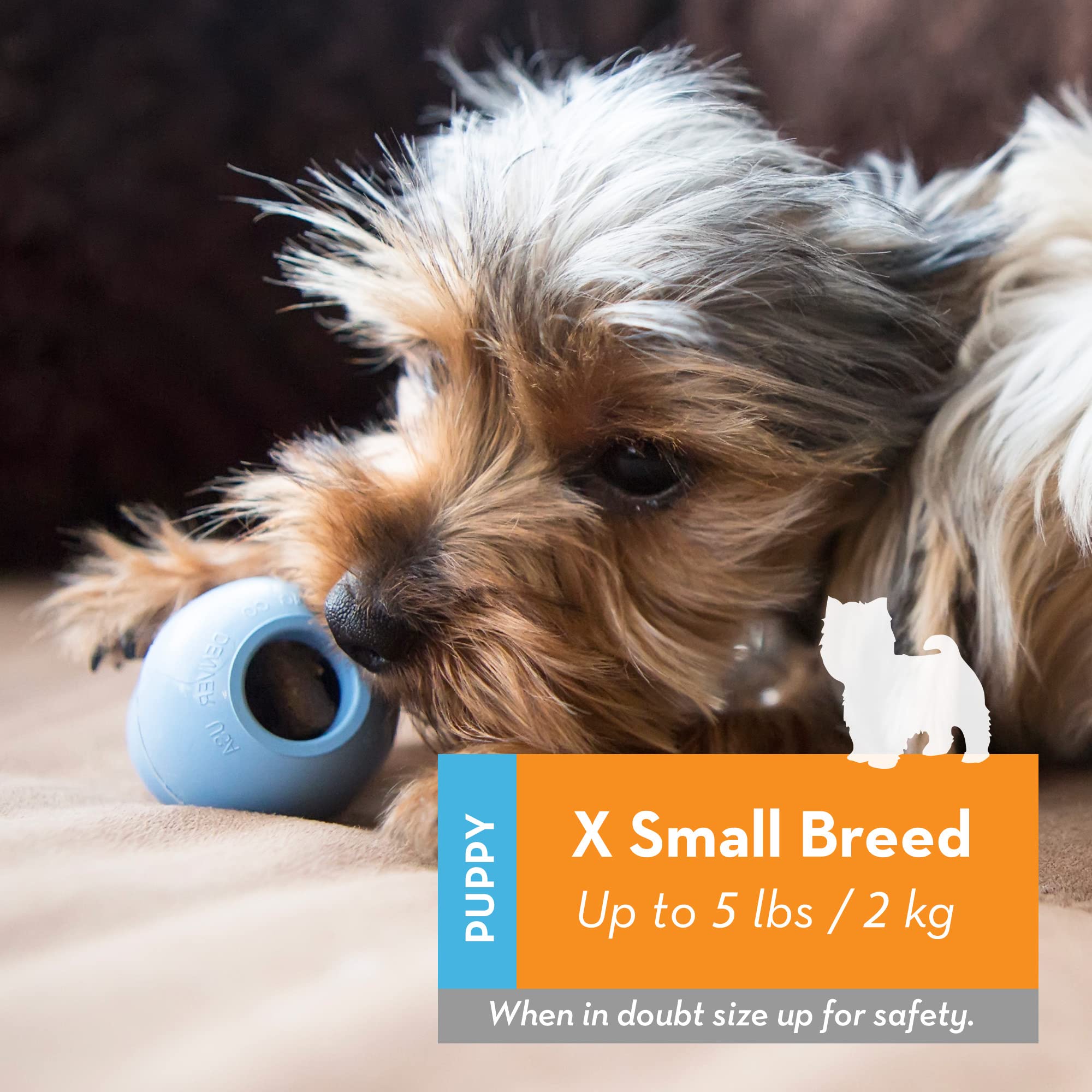 Kong Puppy - Natural Teething Rubber Chew Toy For Dogs - Stuffable Dog Toy For Extended Playtime - Chew & Fetch Toy For Puppies - For Xs Puppies - Blue