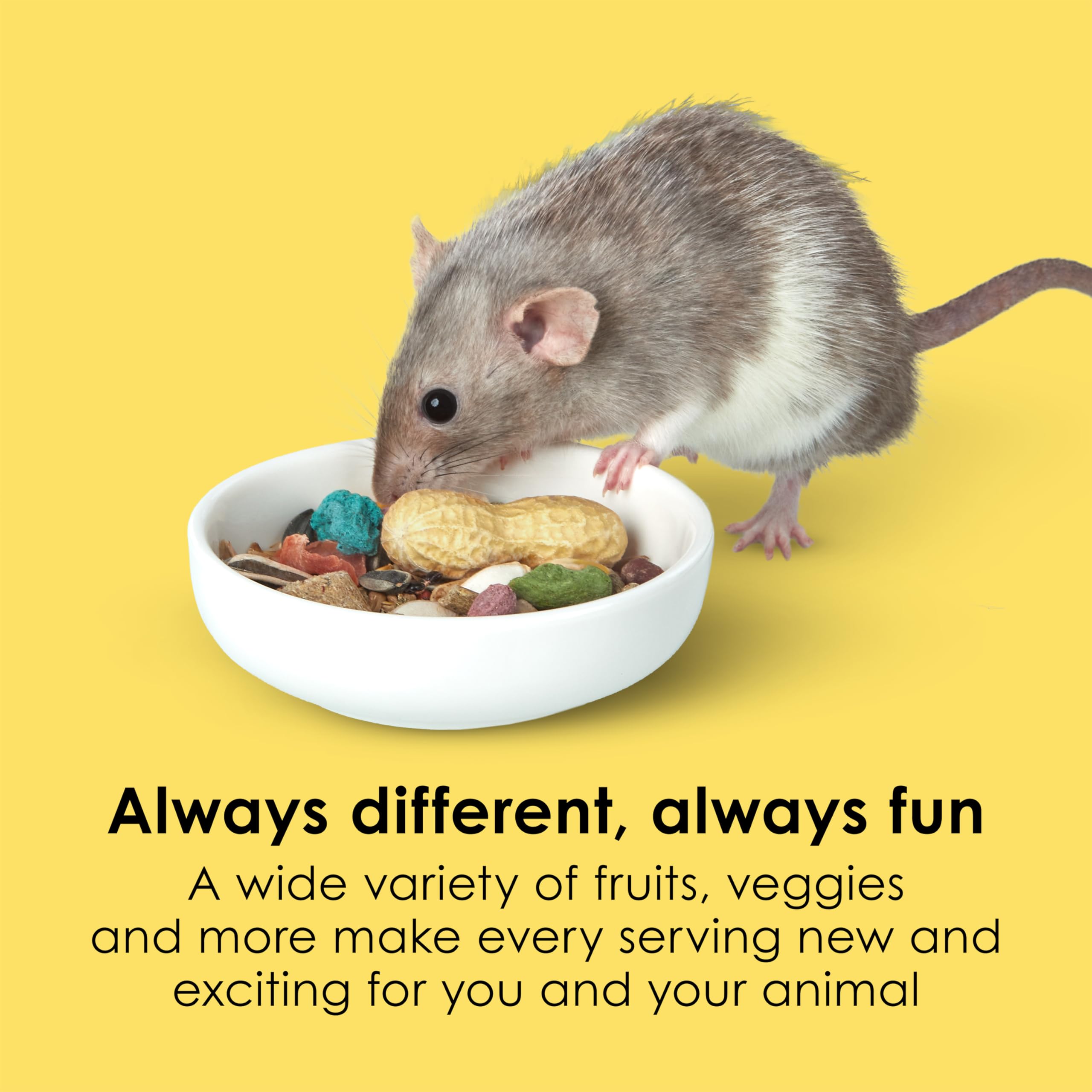Kaytee Fiesta Mouse & Rat Food Flavor Medley 15 Pounds