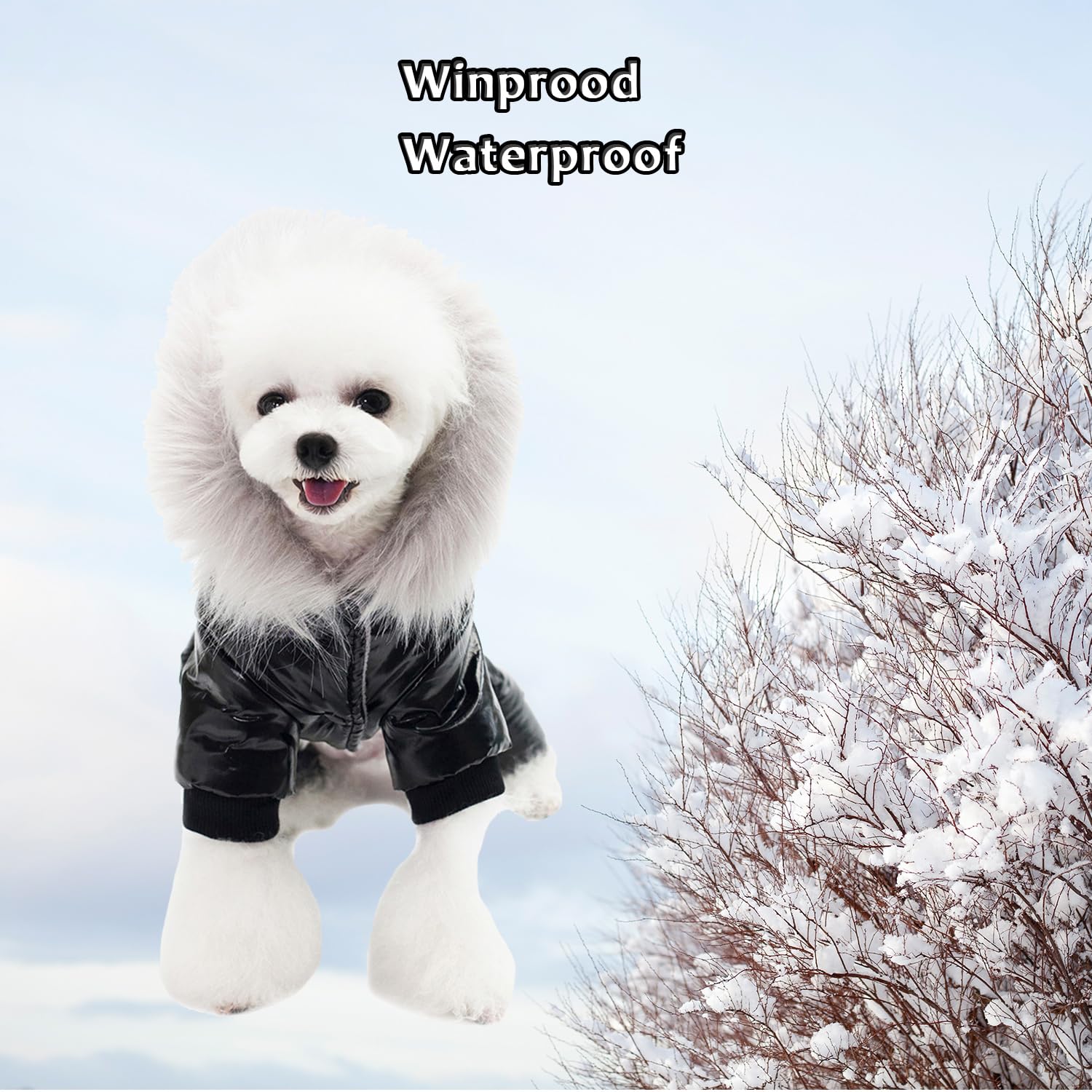 Muyaopet Waterproof Pet Clothes For Dog Winter Warm Dog Jacket Coat Dog Hooded Jumpsuit Snowsuit (Small, Black)