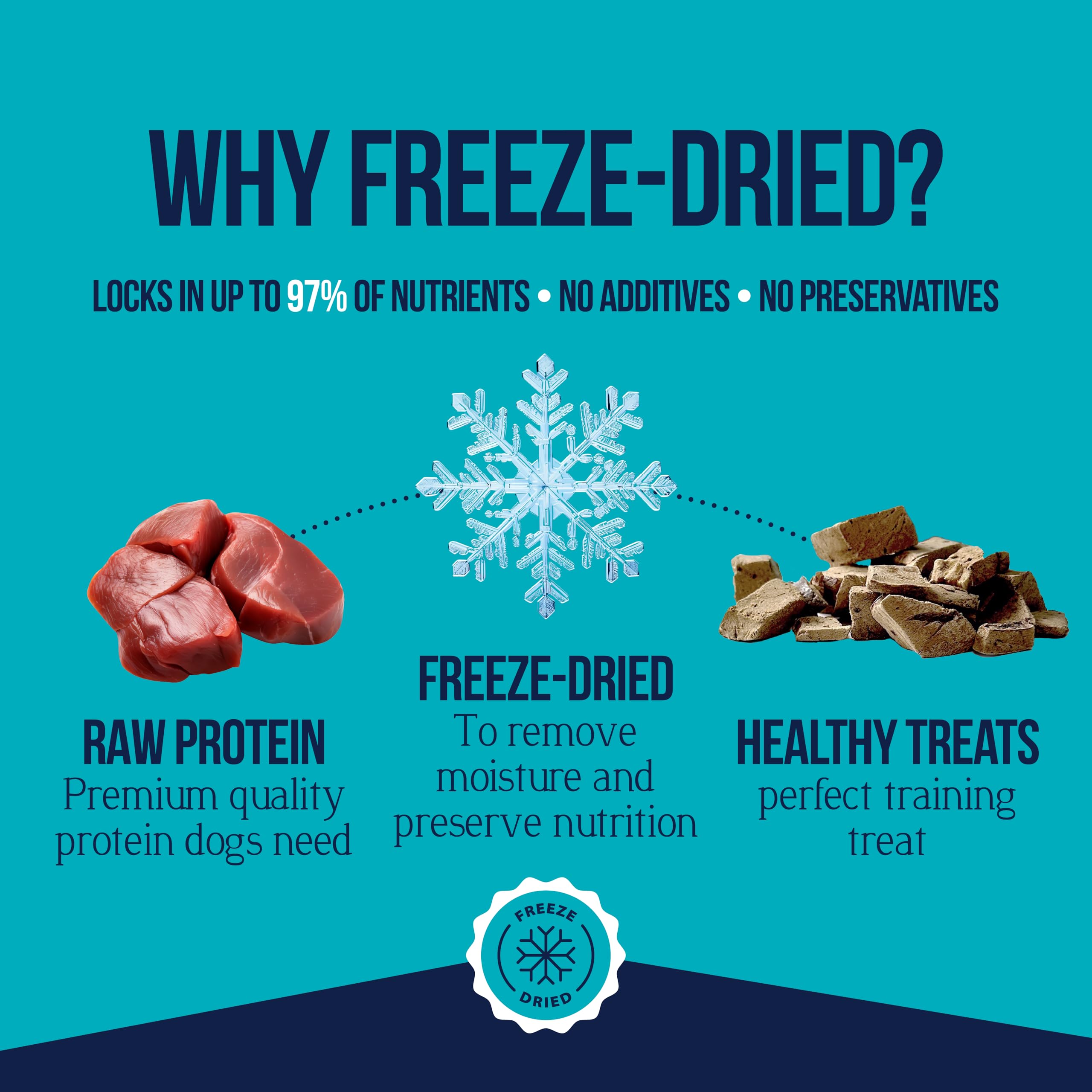 Stewart Single Ingredient Freeze Dried Raw Dog Treats, Beef Liver, 4 Ounce Resealable Tub, Training Treats or Meal Topper Dogs,