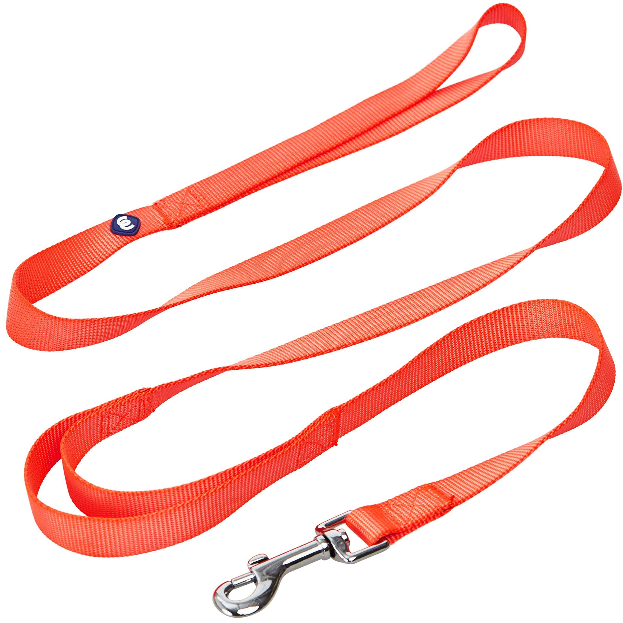 Blueberry Pet Essentials Durable Classic Dog Leash 4 Ft X 1', Florence Orange, Large, Double Handle Leashes For Dogs