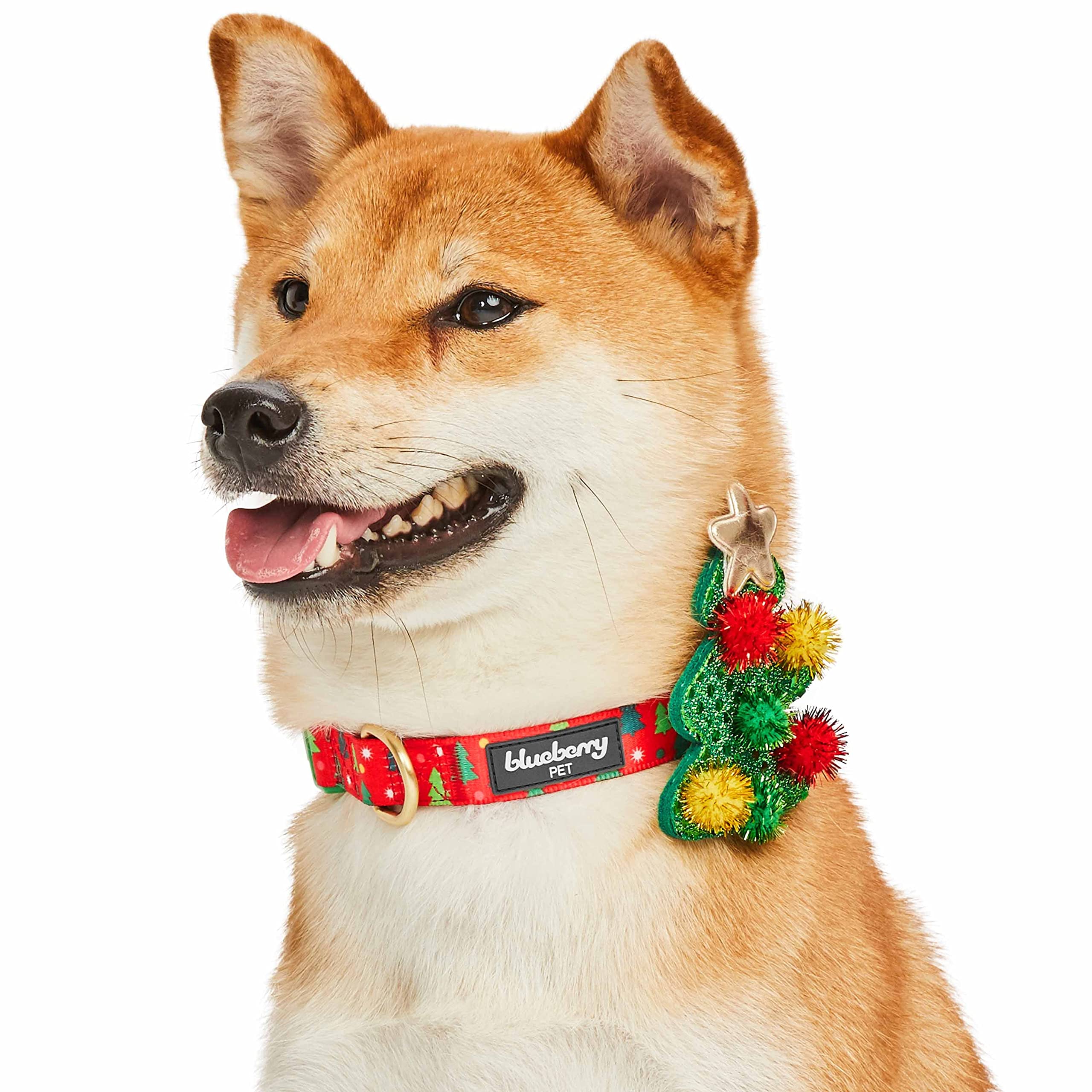 Blueberry Pet Christmas Holly Adjustable Dog Collar With Stunning Bowtie D  Cor, Large, 18'-26' Neck, Award-Winning Holiday Do