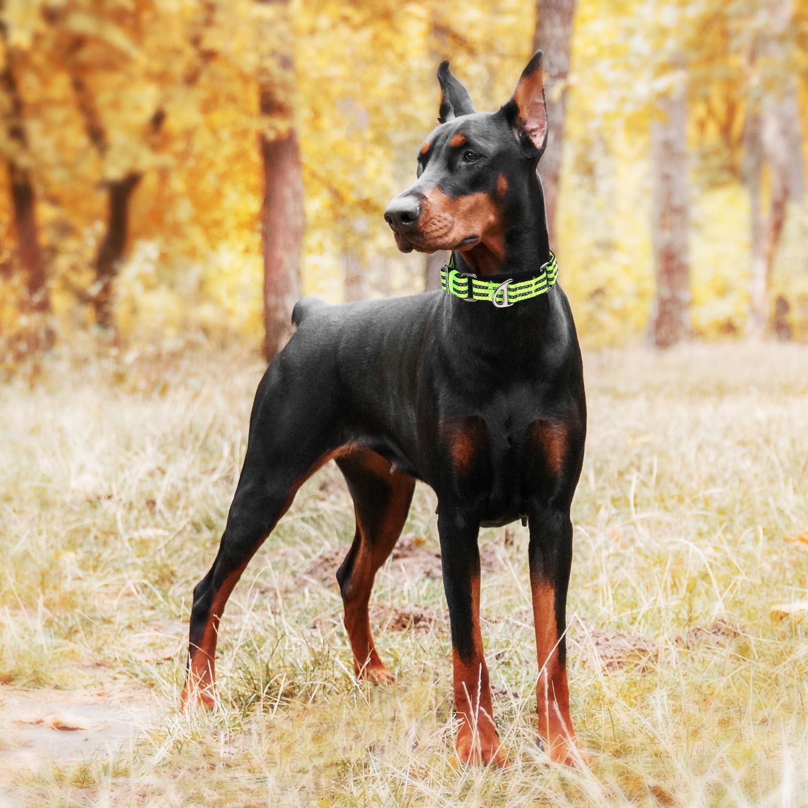 Martingale Collar For Large Dogs With No Buckle Reflective Nylon No Pull Choke Collar With Padded Comfort For Training, Walking