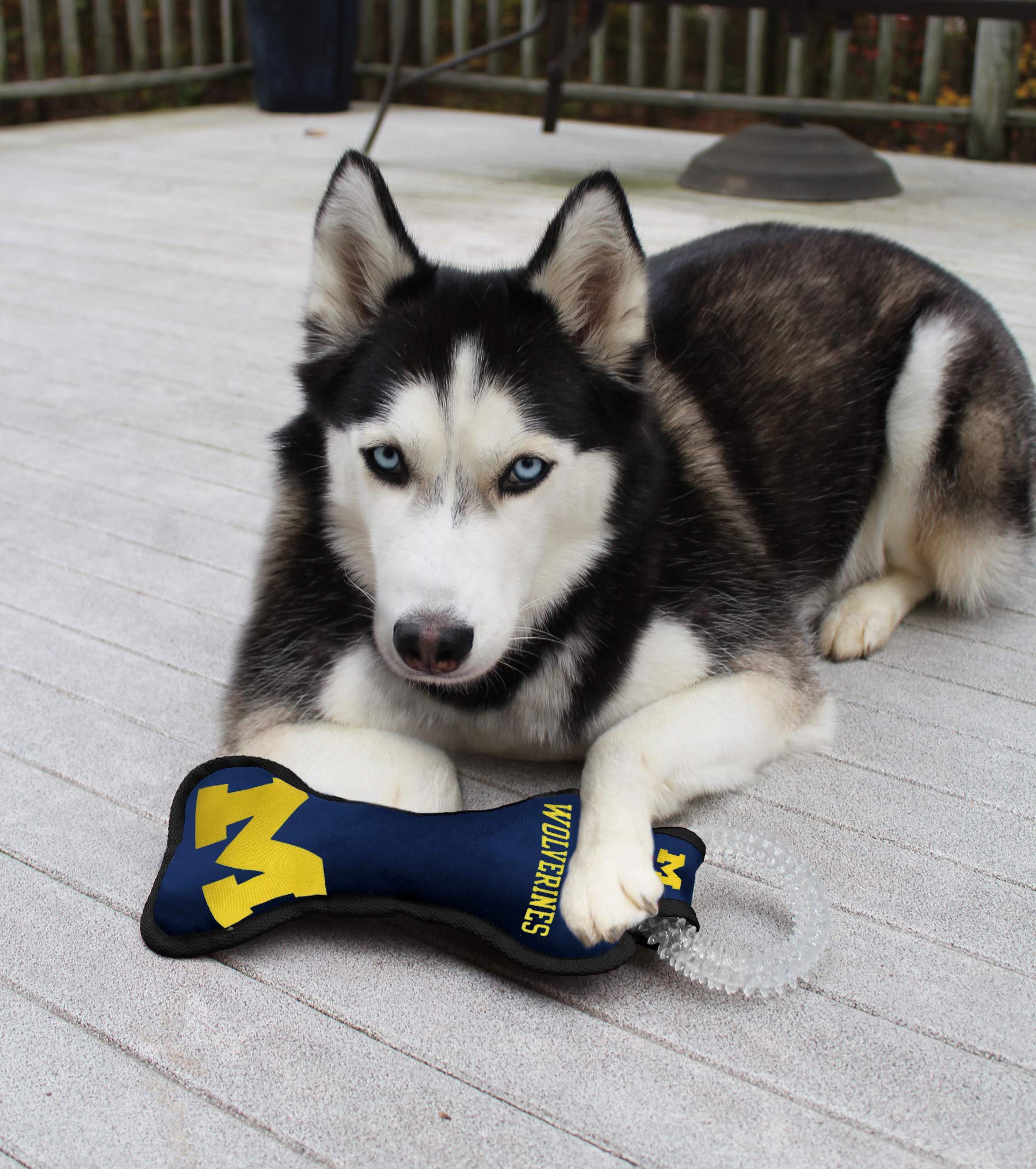 Pets First Ncaa Michigan Wolverines Dental Dog Tug Toy With Squeaker. Tough Pet Toy For Healthy Fun, Teething & Cleaning Pets Te