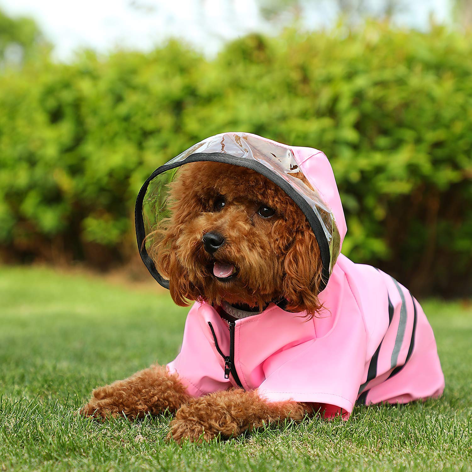 Wizland Reflective Dog Raincoat Dog Rain Jacket With Hood Lightweight Waterproof Rain Coat For Puppies (Pink Xs)
