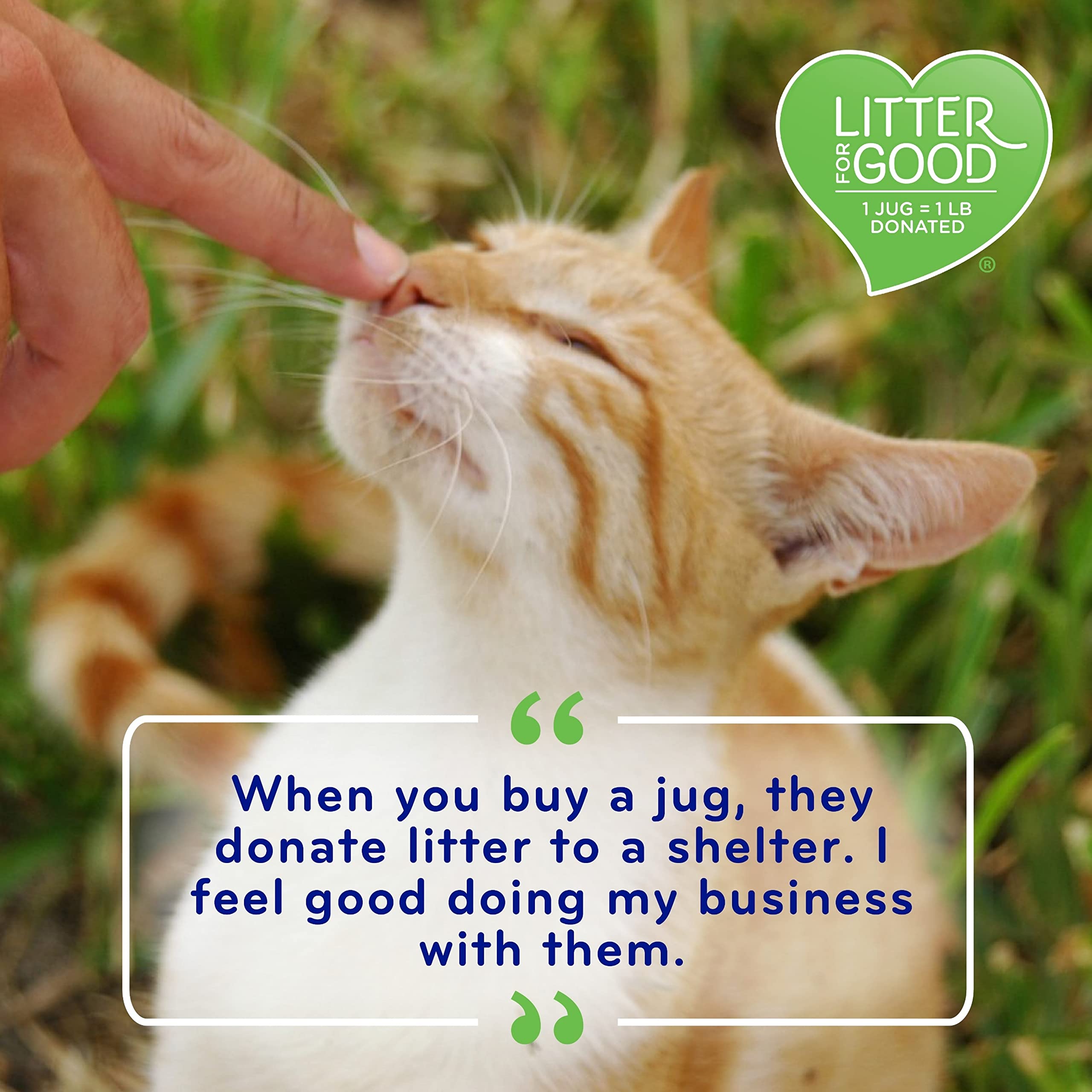 Cat'S Pride Max Power Clumping Multi-Cat Litter 15 Pounds, Bacterial Odor Control