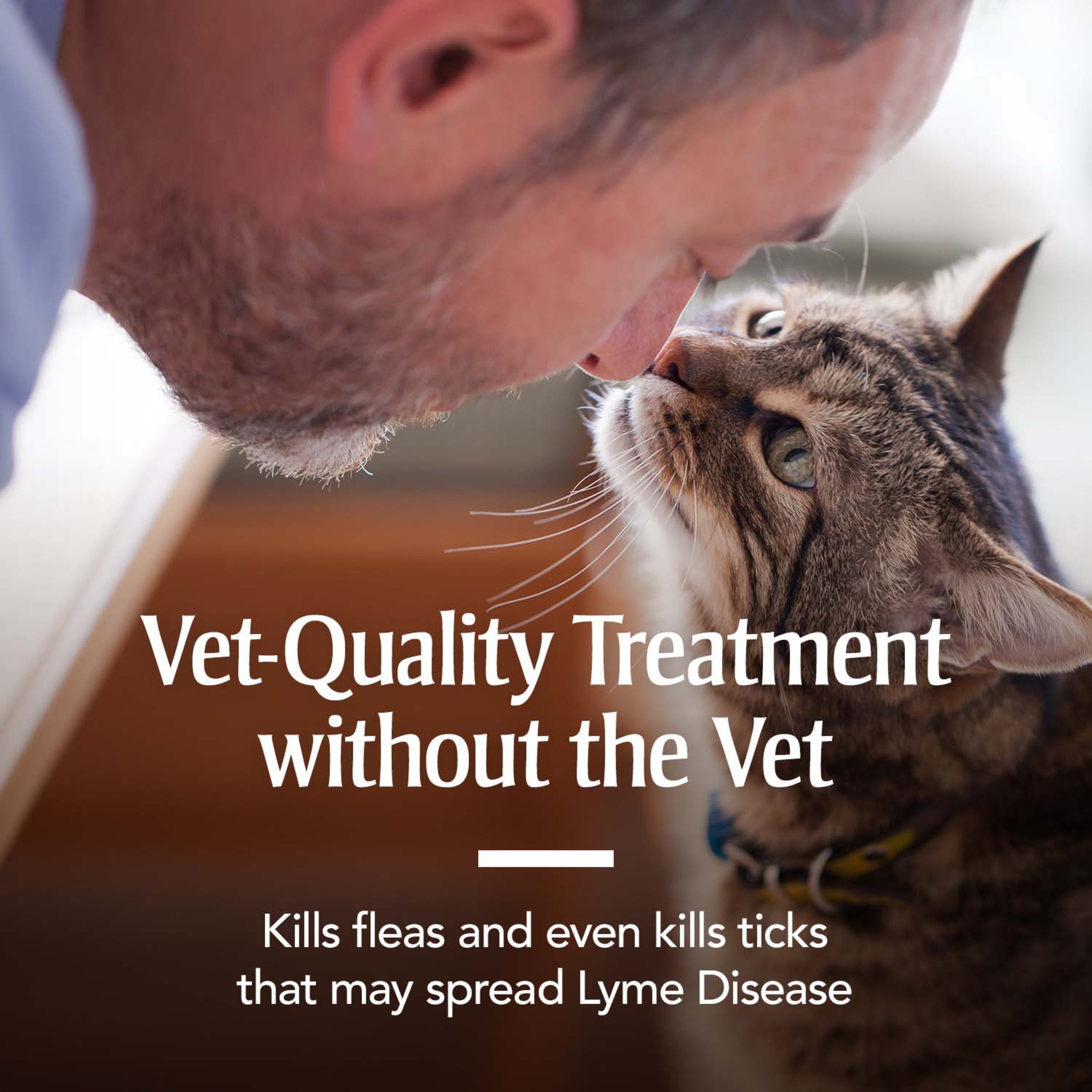 Petarmor For Cats, Flea & Tick Treatment For Cats (Over 1.5 Pounds), Includes 3 Month Supply Of Topical Flea Treatments