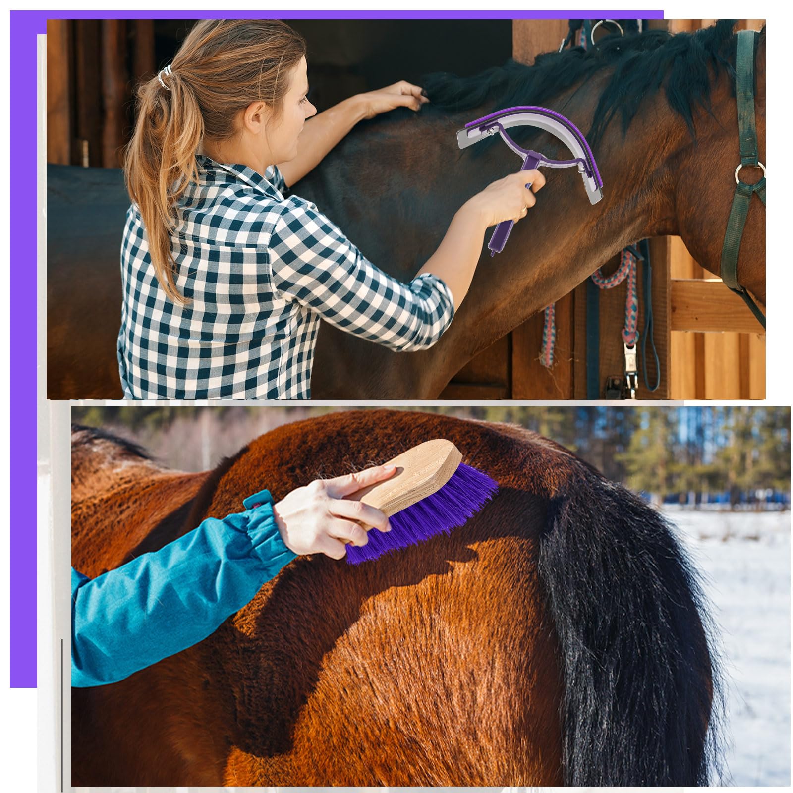 Abbylike 12 Pieces Horse Grooming Kit Racing Festival Tack Room Supplies Horse Brush Sets Equine Care Cleaning Kit Shedding Groo
