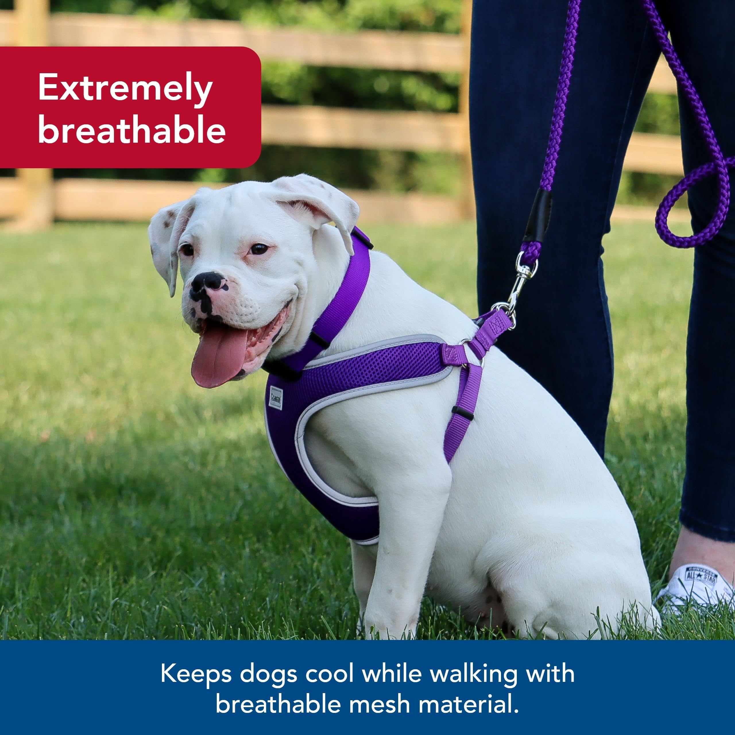 Coastal Pet Comfort Soft Reflective Wrap Adjustable Dog Harness - No-Pull Dog Harness For Small & Large Dogs - Purple - 5/8' X 19'–23'