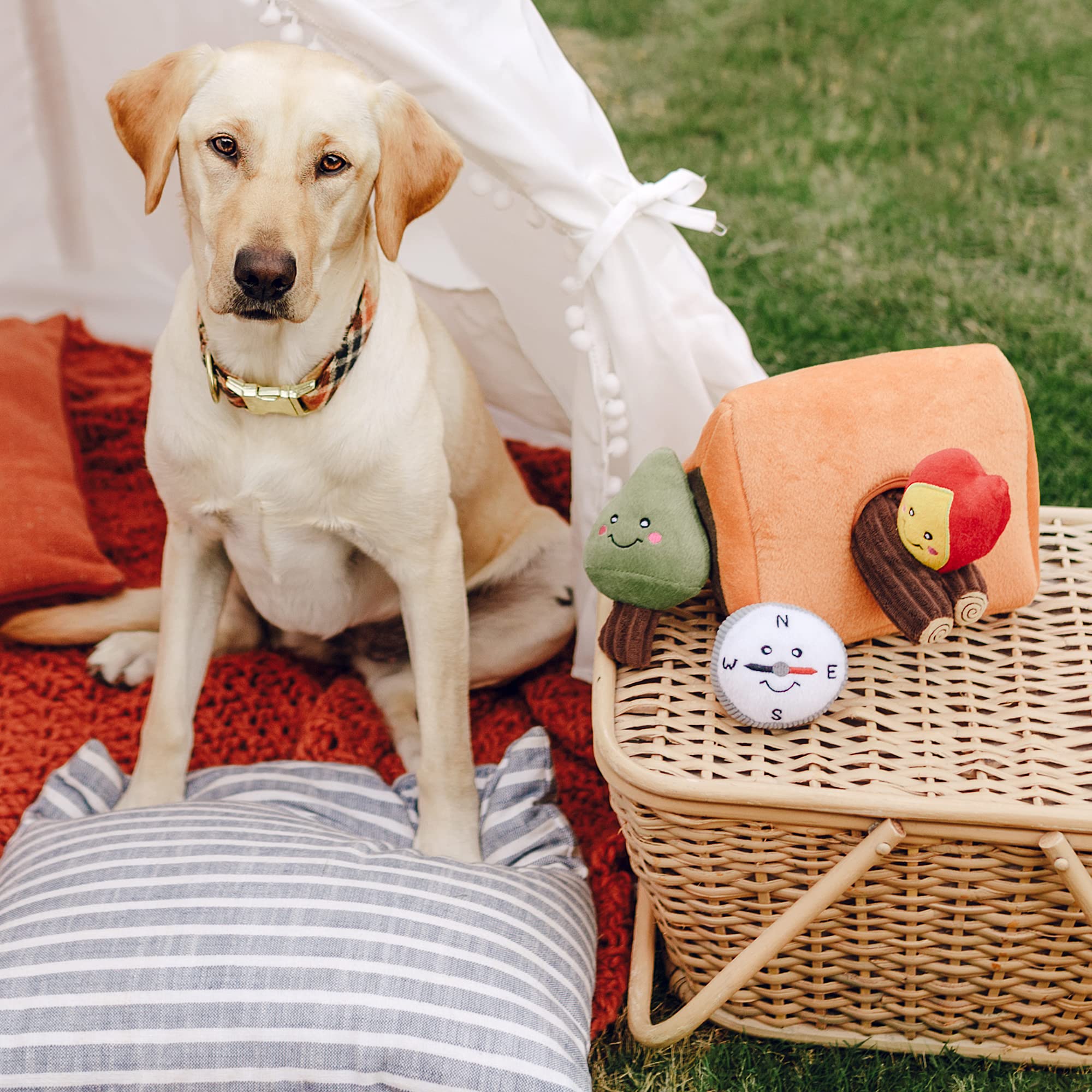 Zippypaws Burrow Wilderness Camping Tent - Interactive Hide & Seek Dog Puzzles, Colorful Squeaky Toys For Small & Medium Dogs