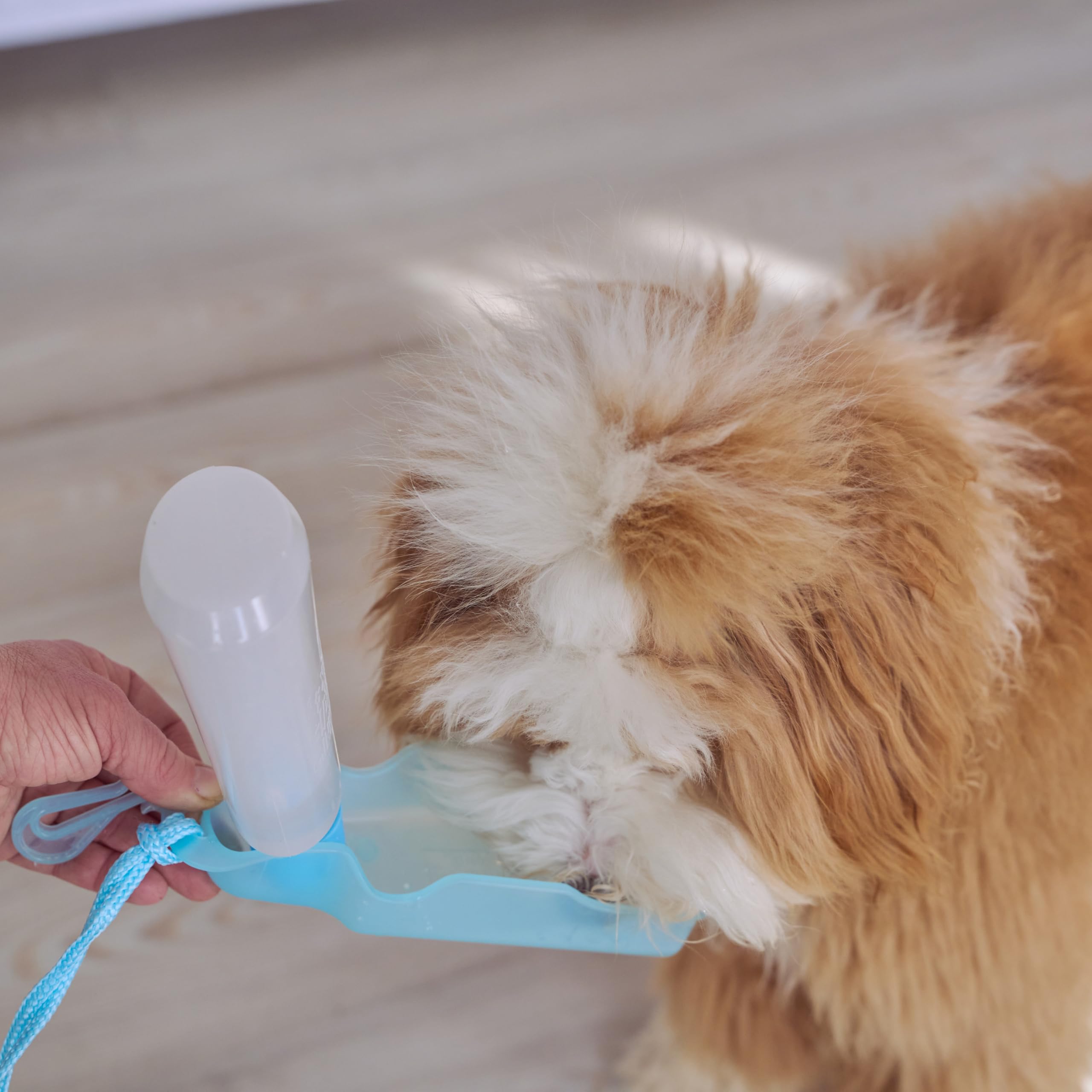 Ethical Pet Handi-Drink 9-Ounce Mini Pet Waterer