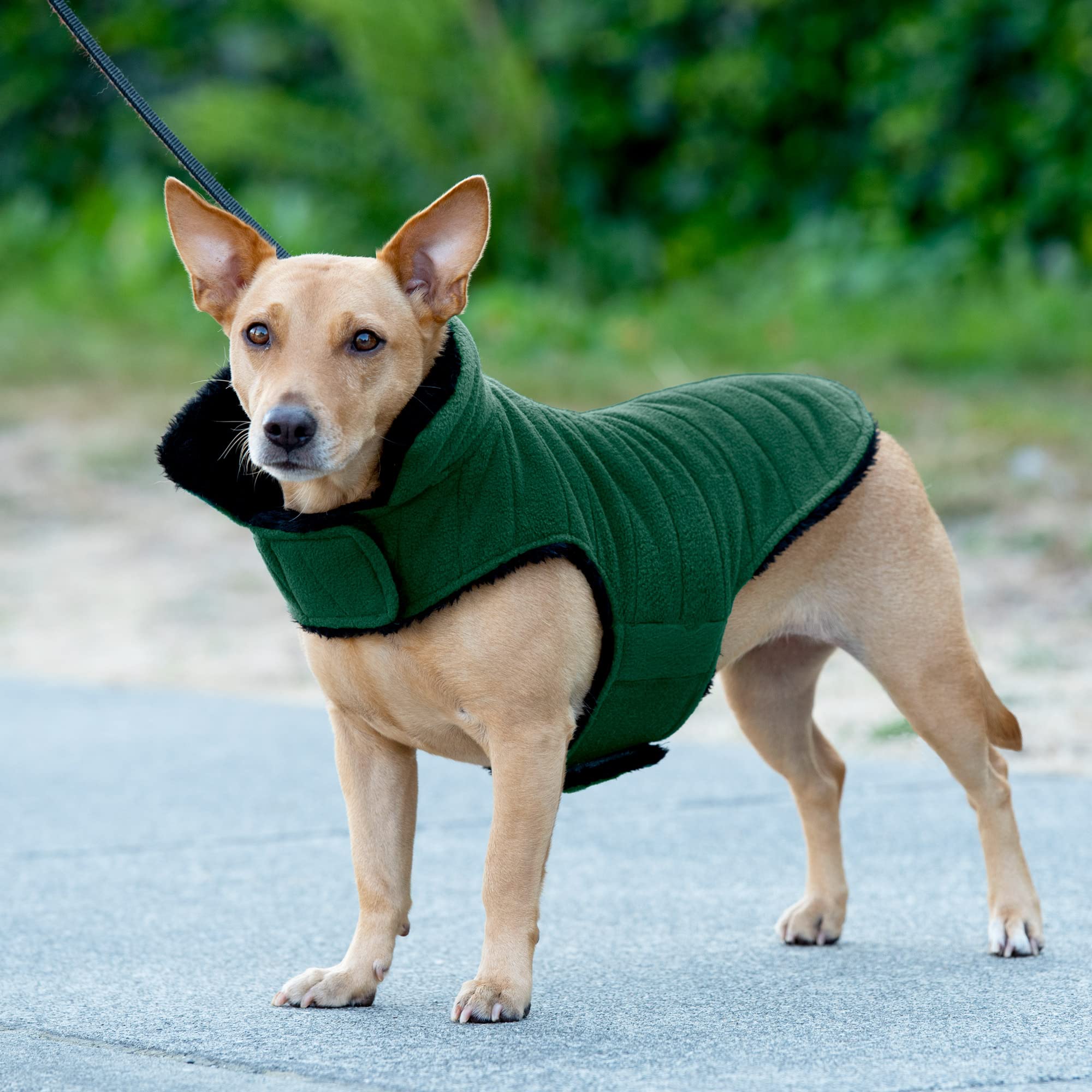 Furhaven Reversible Small Dog Coat, Washable & Insulating W/ Leash Access - Faux Fur & Quilted Fleece Flex-Fit Jacket - Black/Green, Small