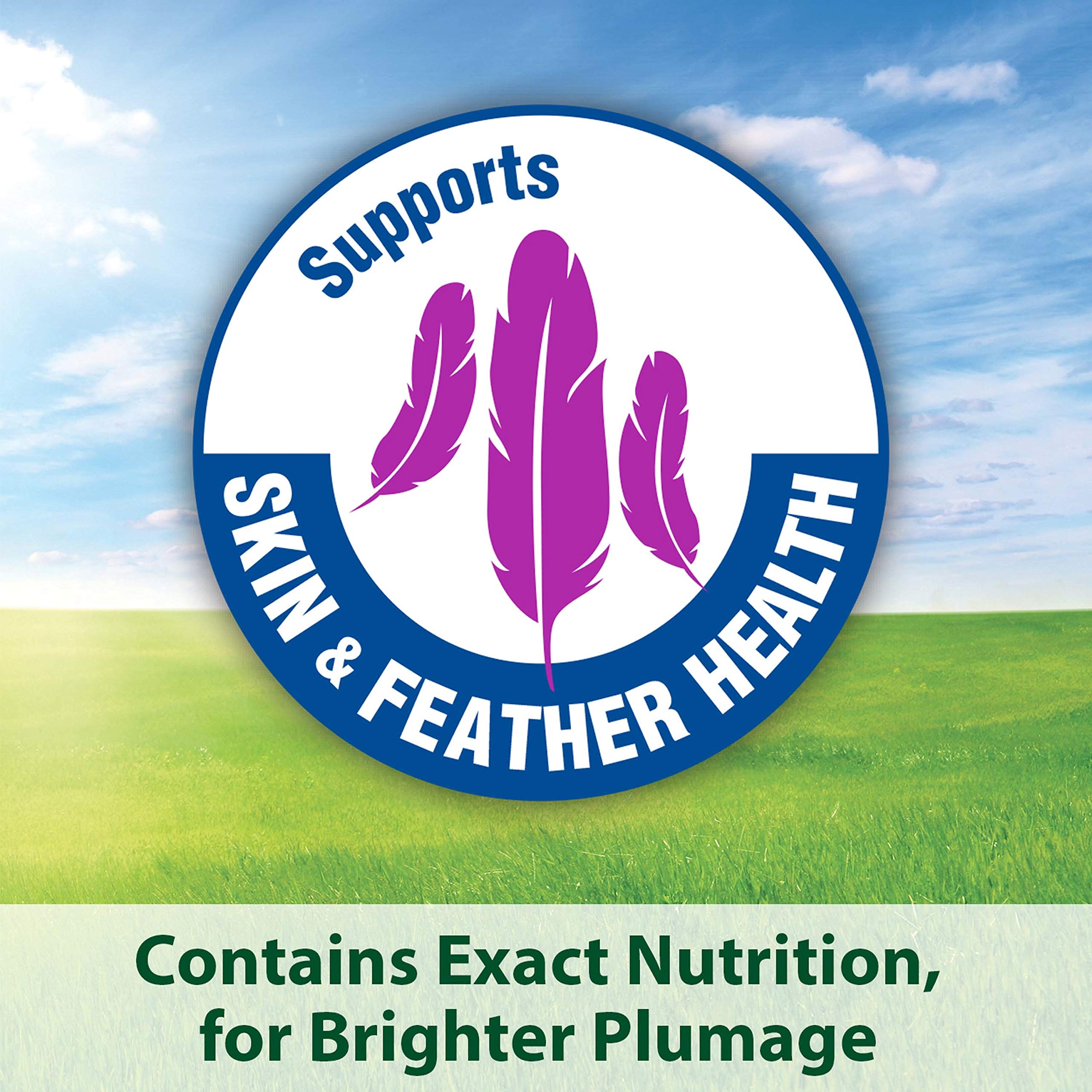Kaytee Forti-Diet Pro Health Feather Health Parrot Food 25lb
