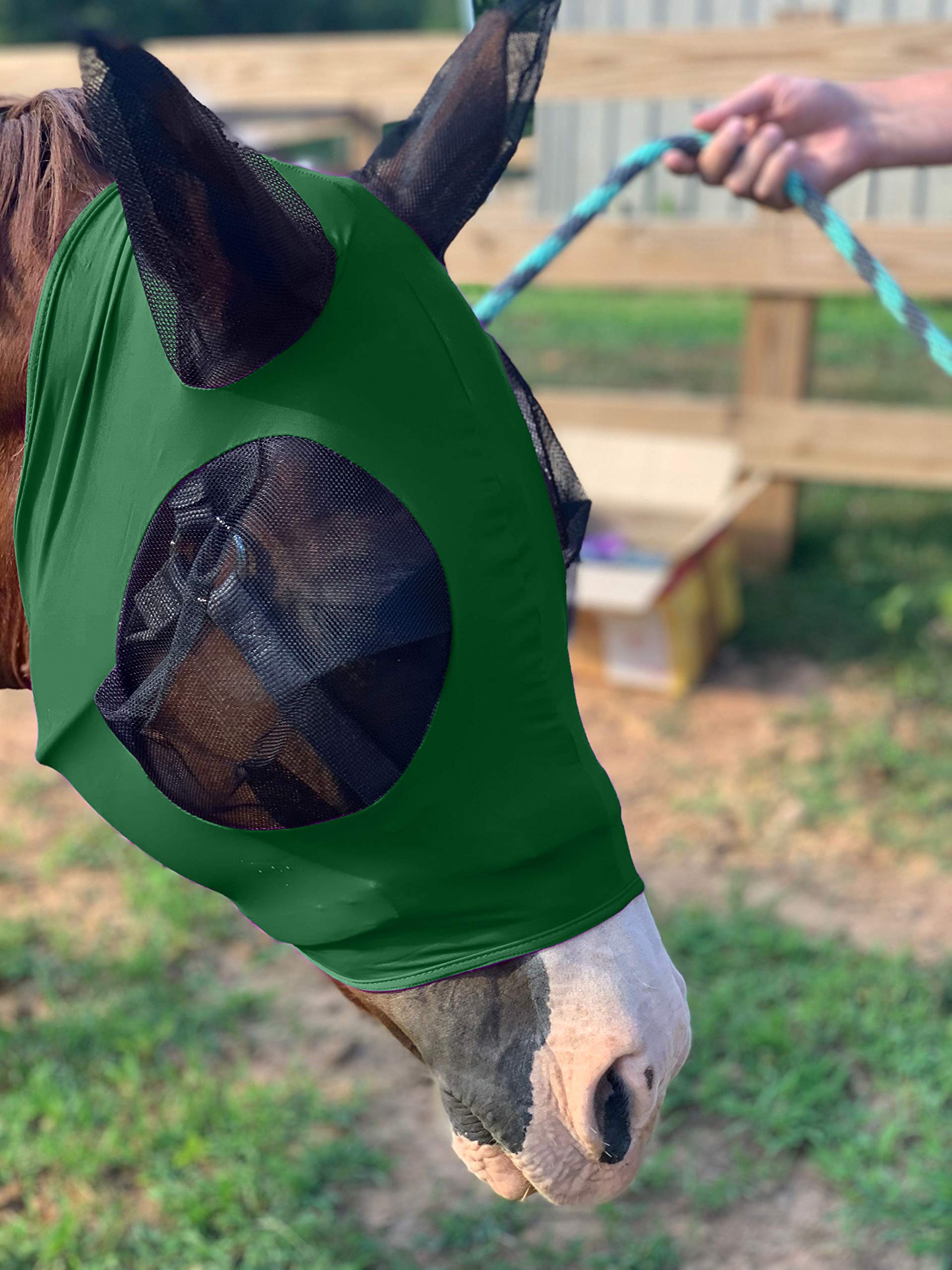 Stretchy Horse Fly Mask with Ears Comfort Fit Mesh Trail Pasture Sun UV Protection (Horse, Hunter Green)