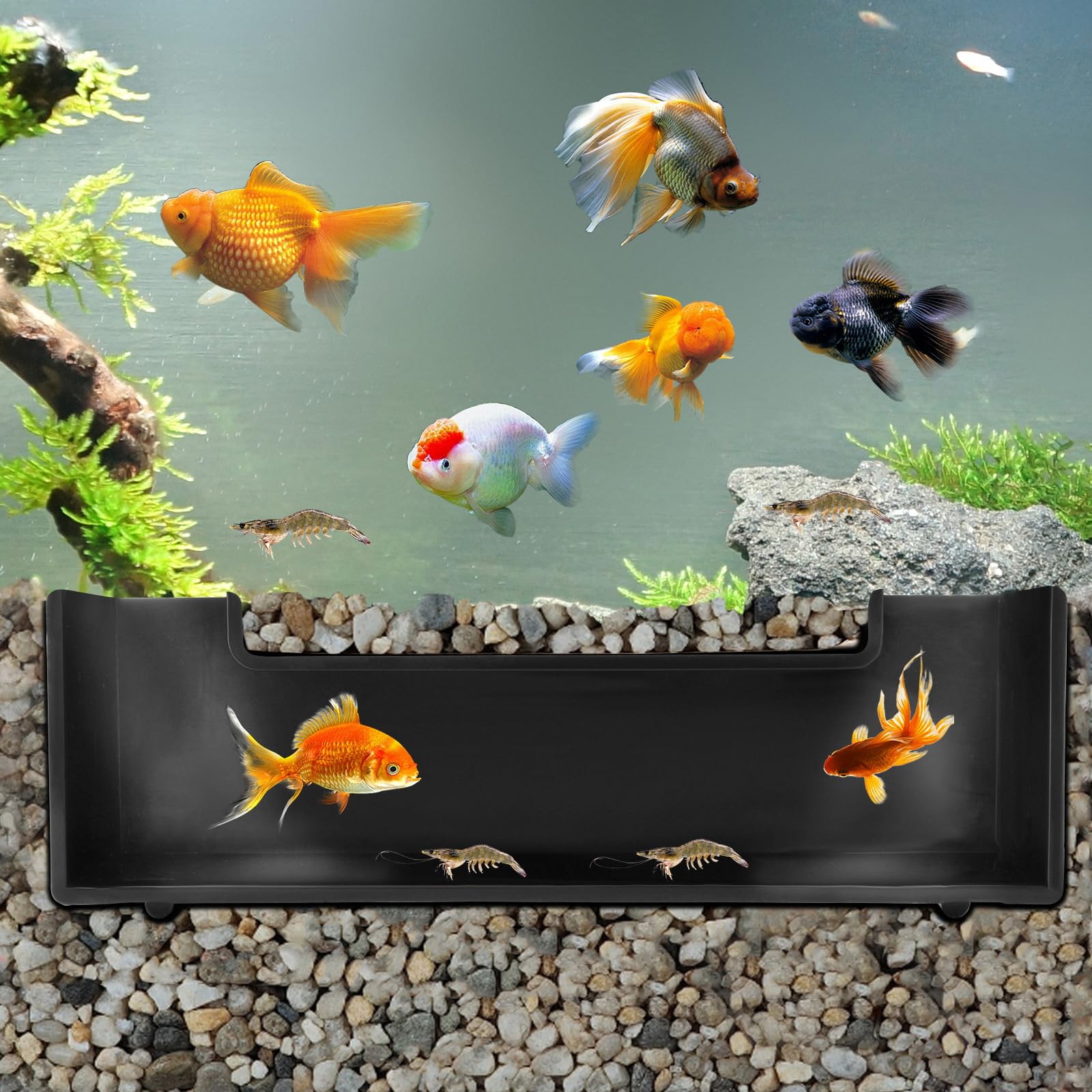 CPLIKE Shrimp Cave Aquarium Tunnel, Aquarium Decor Habitat Decoration, Black Plastic, Modern, Corydora Catfish, Kuhli Loach, Clo