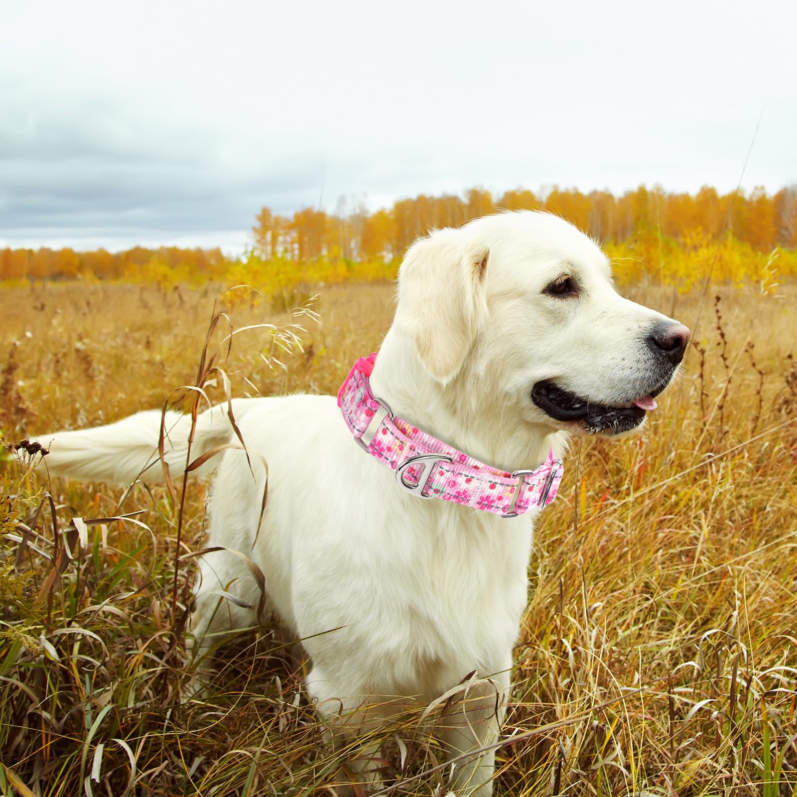 Onefojojo Pink Floral Martingale Dog Collars For Dogs, Reflective Nylon Dog Collar With Buckle Adjustable Training, Walking, Hun